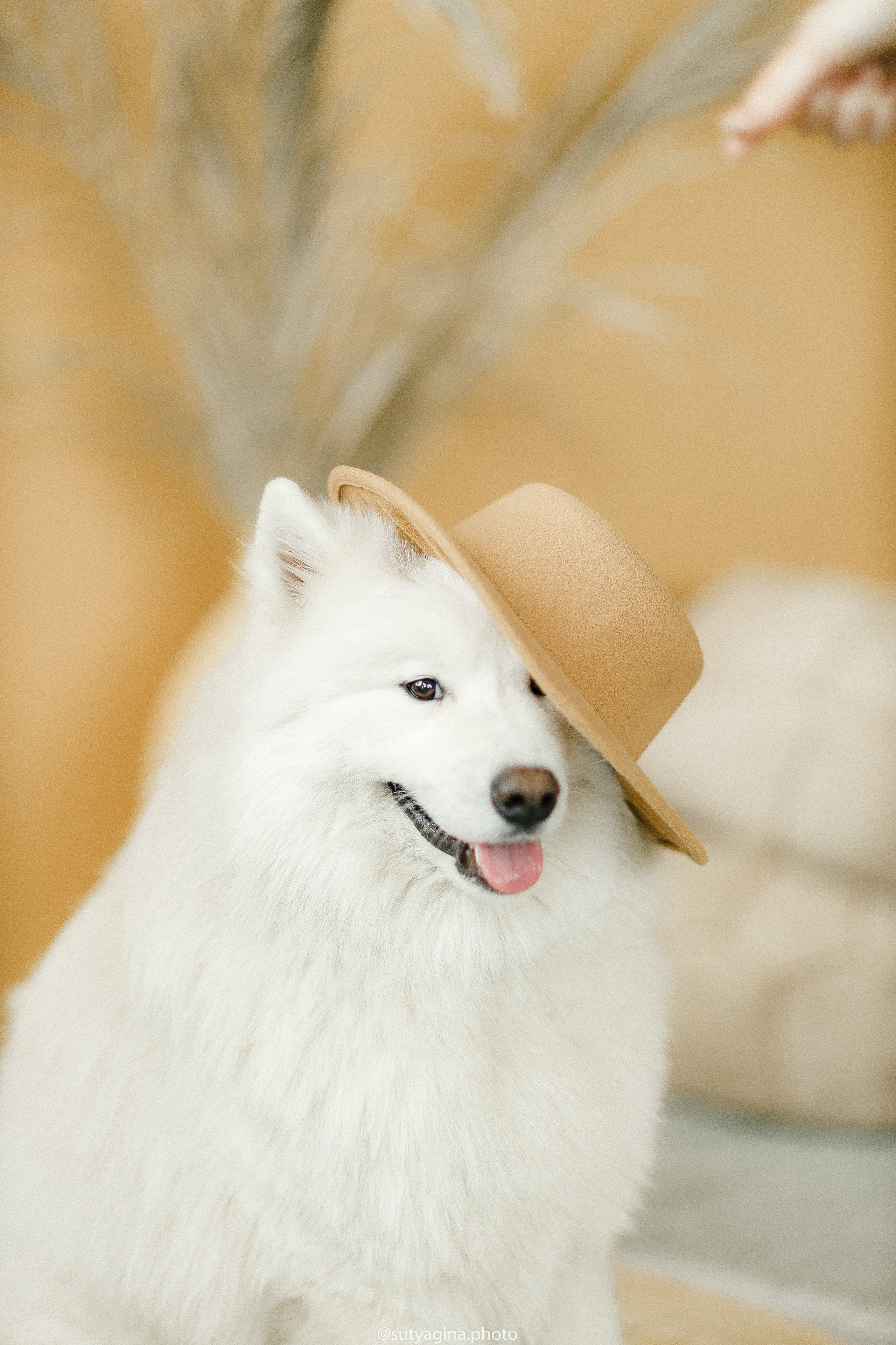 Самоед Мартин. Свадебный и женский фотограф