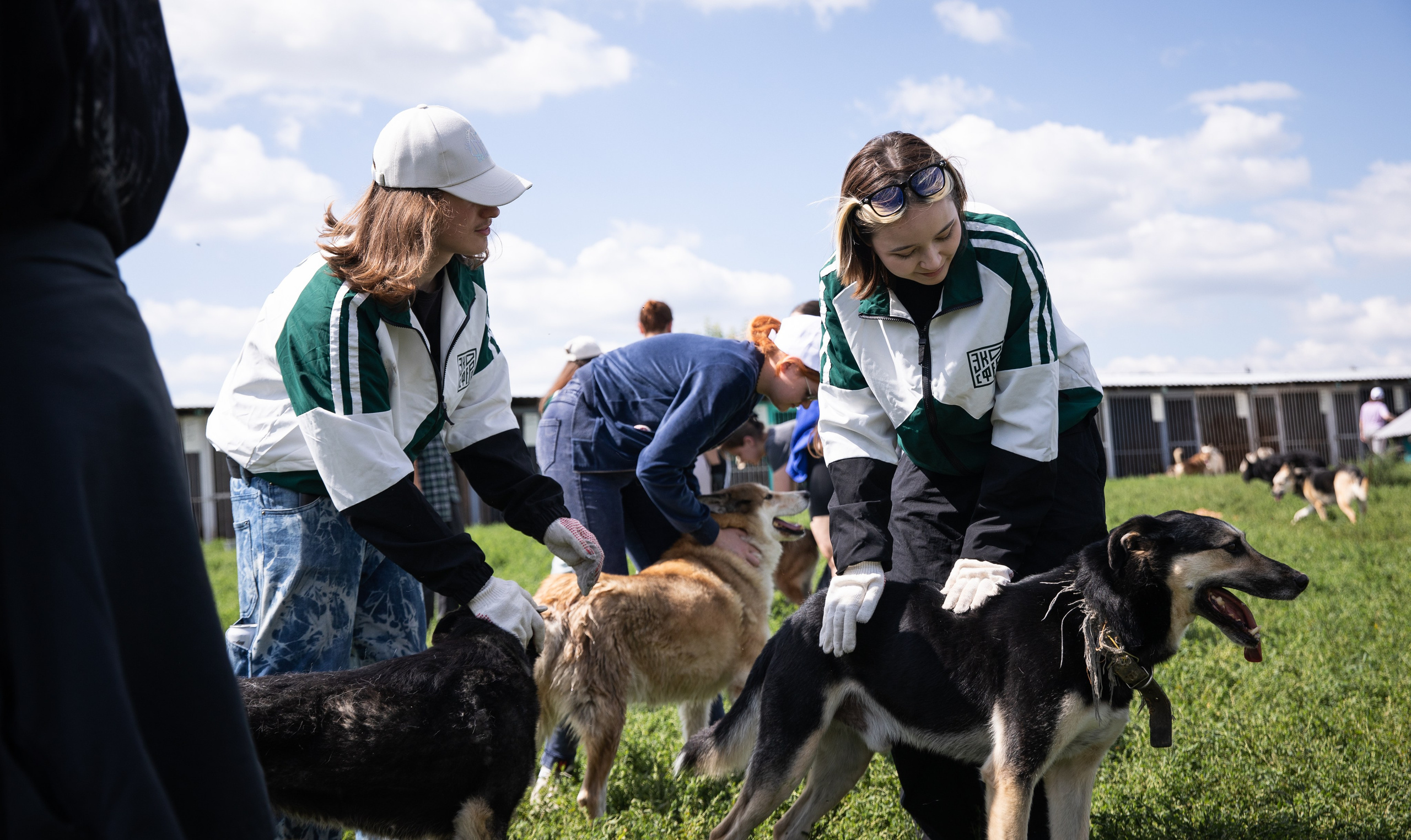 Приют — Наш дом. Репортажный и свадебный фотограф в Челябинске Елисеев Павел