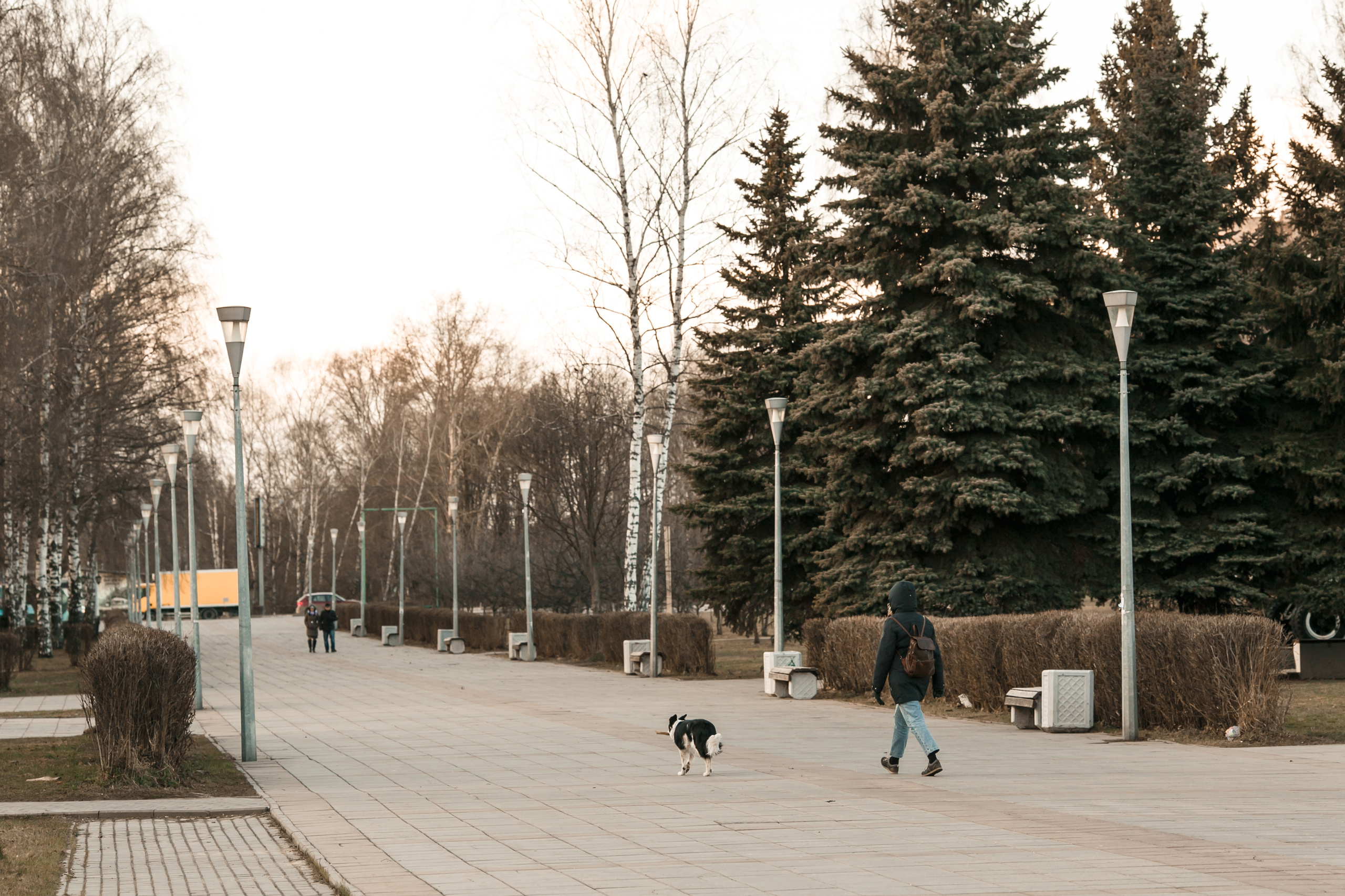 Королев во время самоизоляции и карантина 2020 г. Свадебный и репортажный фотограф (Москва, Королев и другие)
