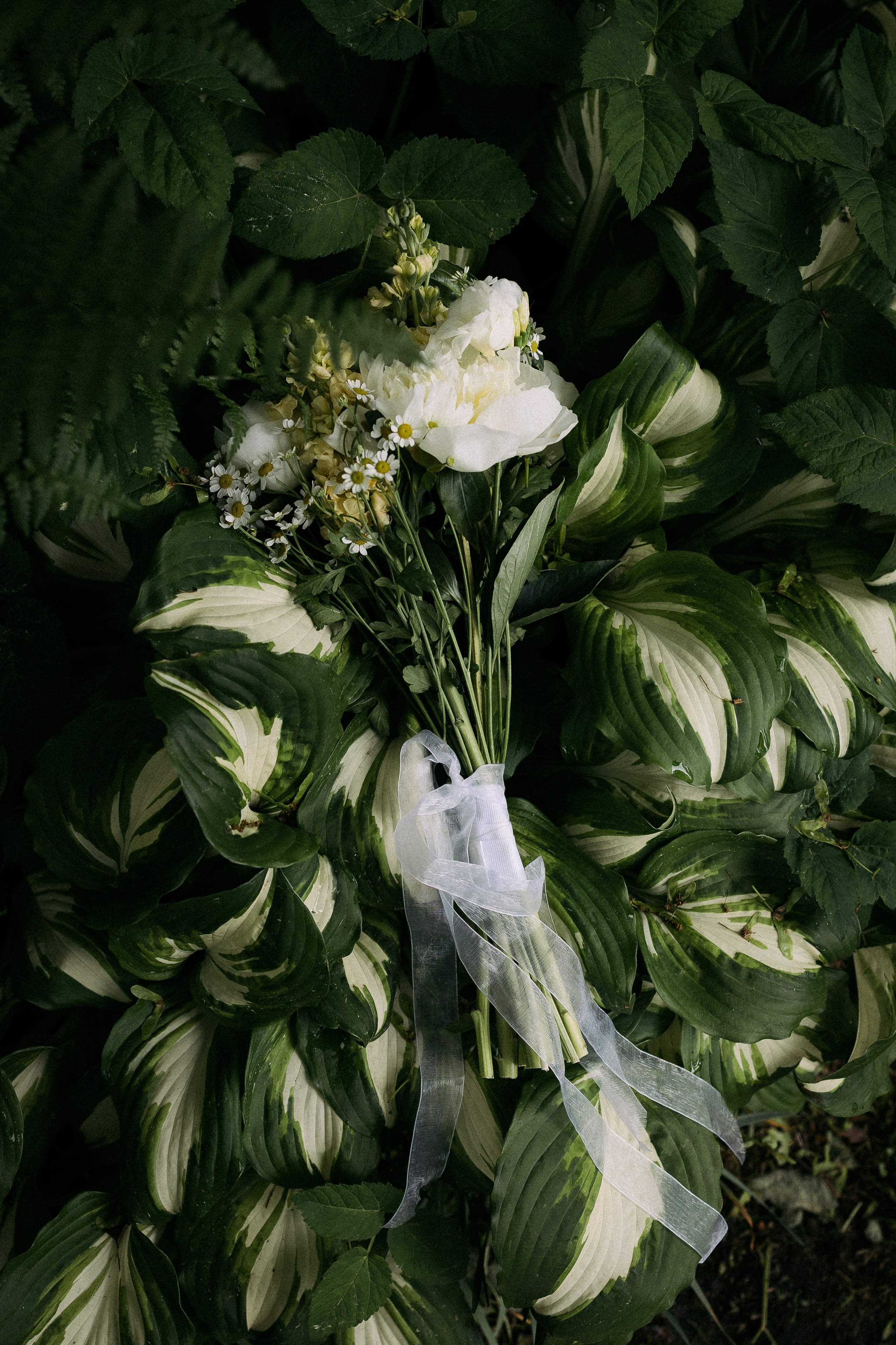 Сабина и Ярослав