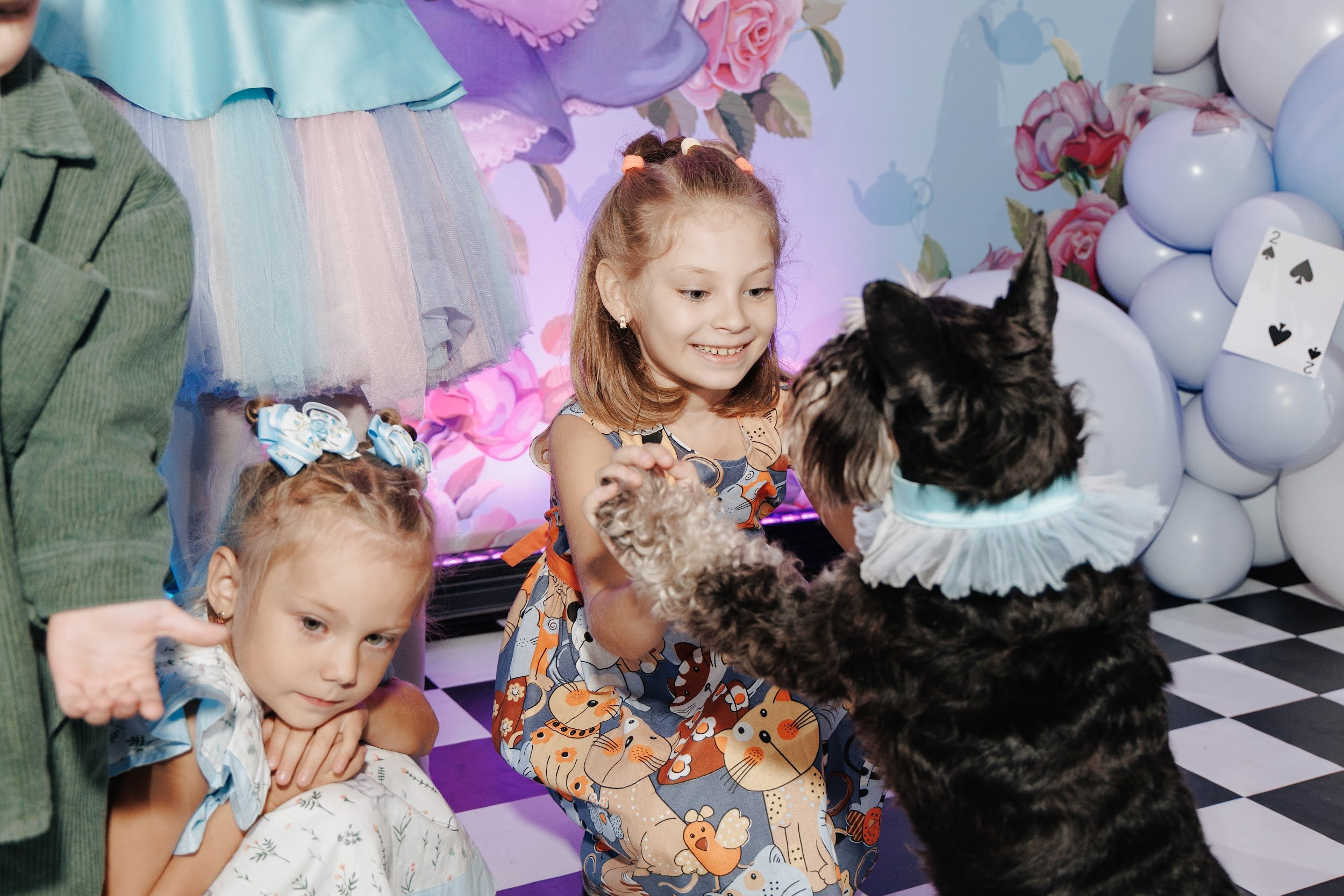 Alice in Wonderland. Свадебный и репортажный фотограф в Воронеже Сергей Максимов