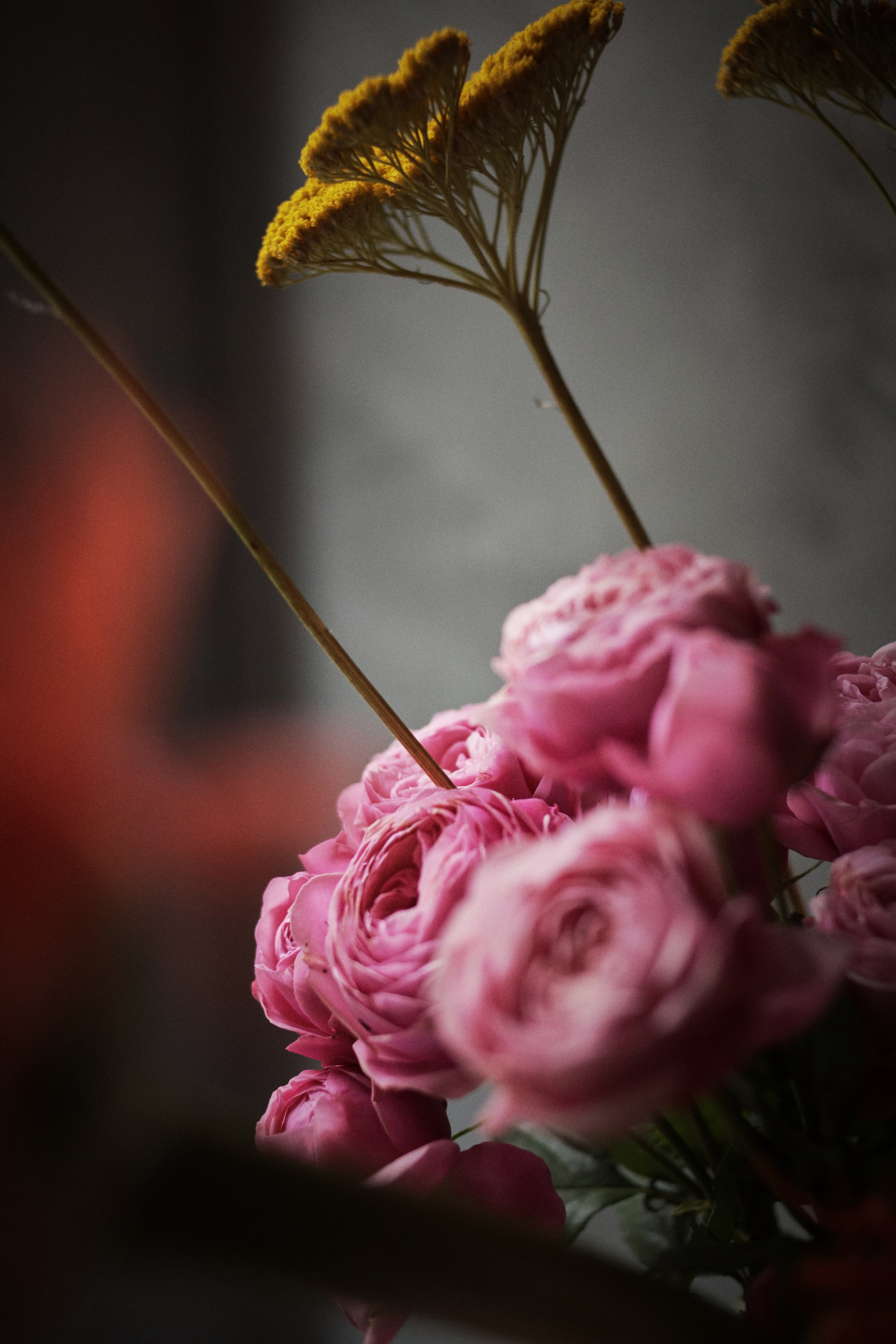 Flowers. Виктория Калугина — фотограф и видеомейкер в Москве