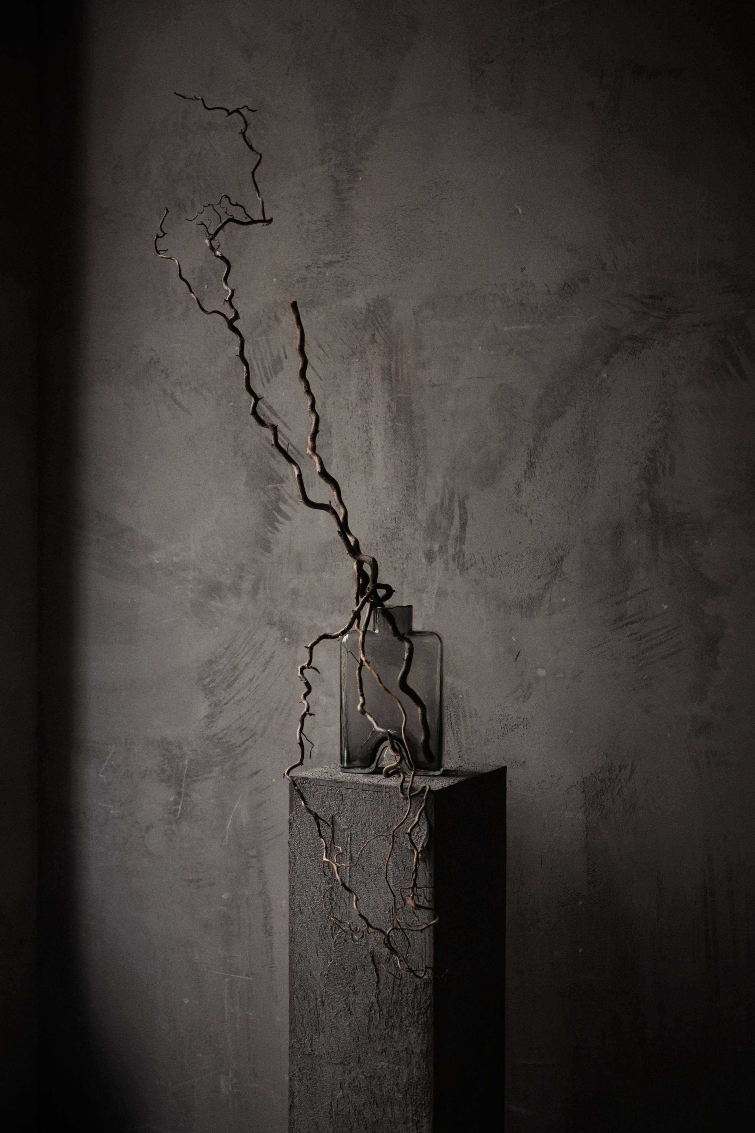 Flowers. Виктория Калугина — фотограф и видеомейкер в Москве