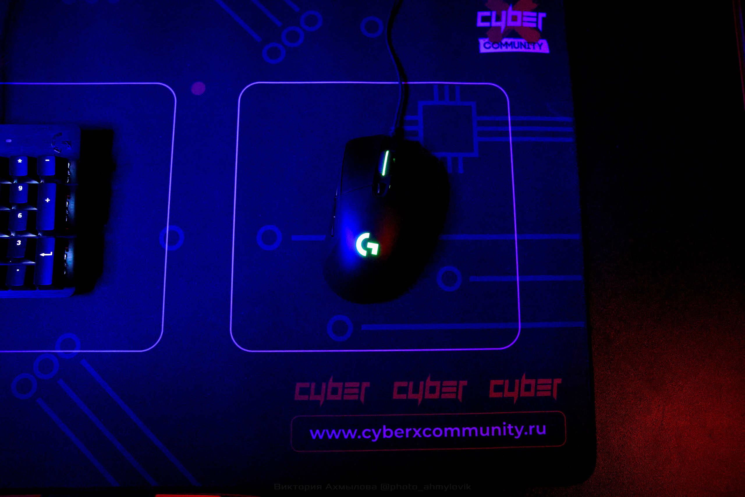 Cyber X. Виктория Ахмылова. Фотограф в Москве