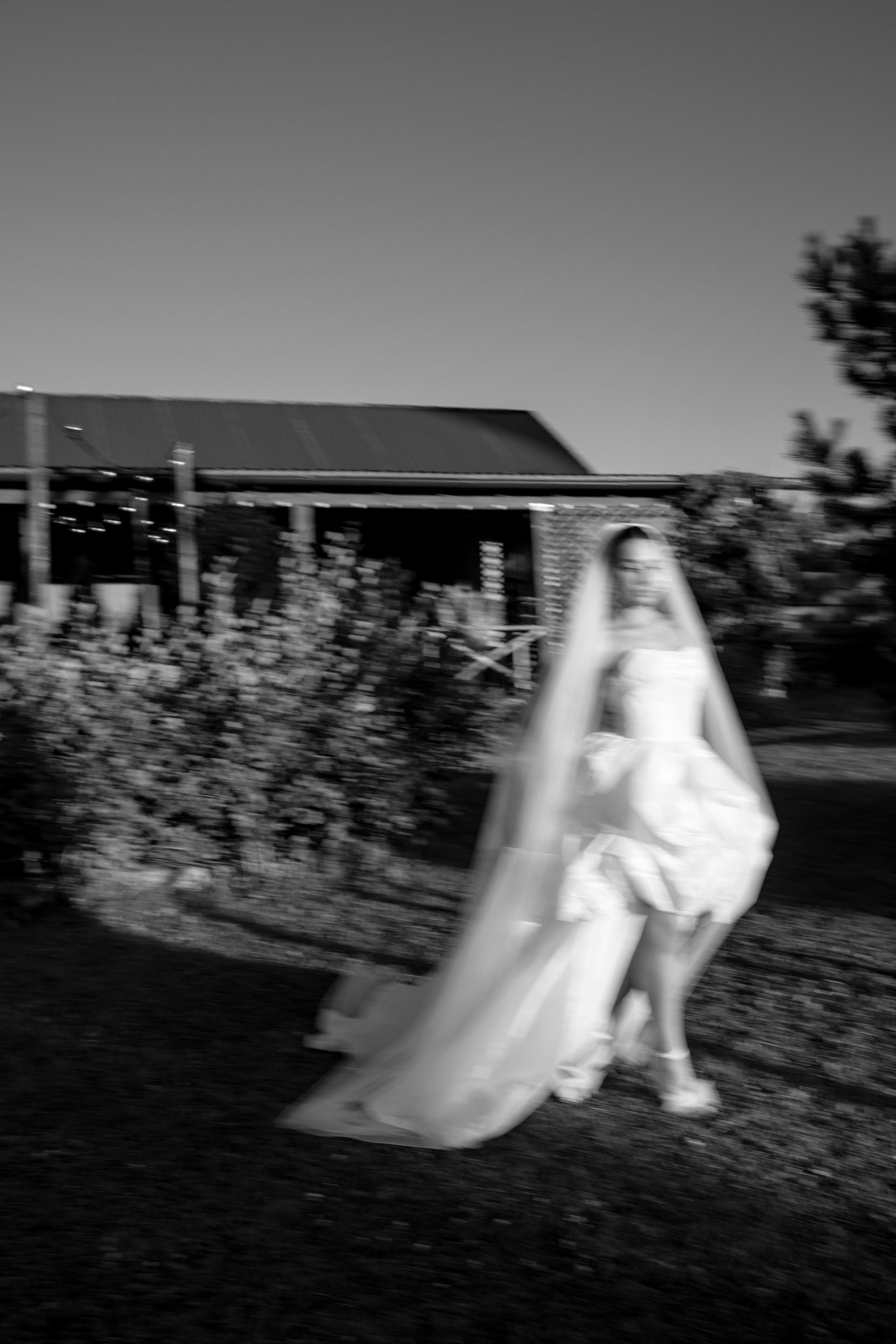 Алексей и Дарья. Свадебный фотограф Полина Панина