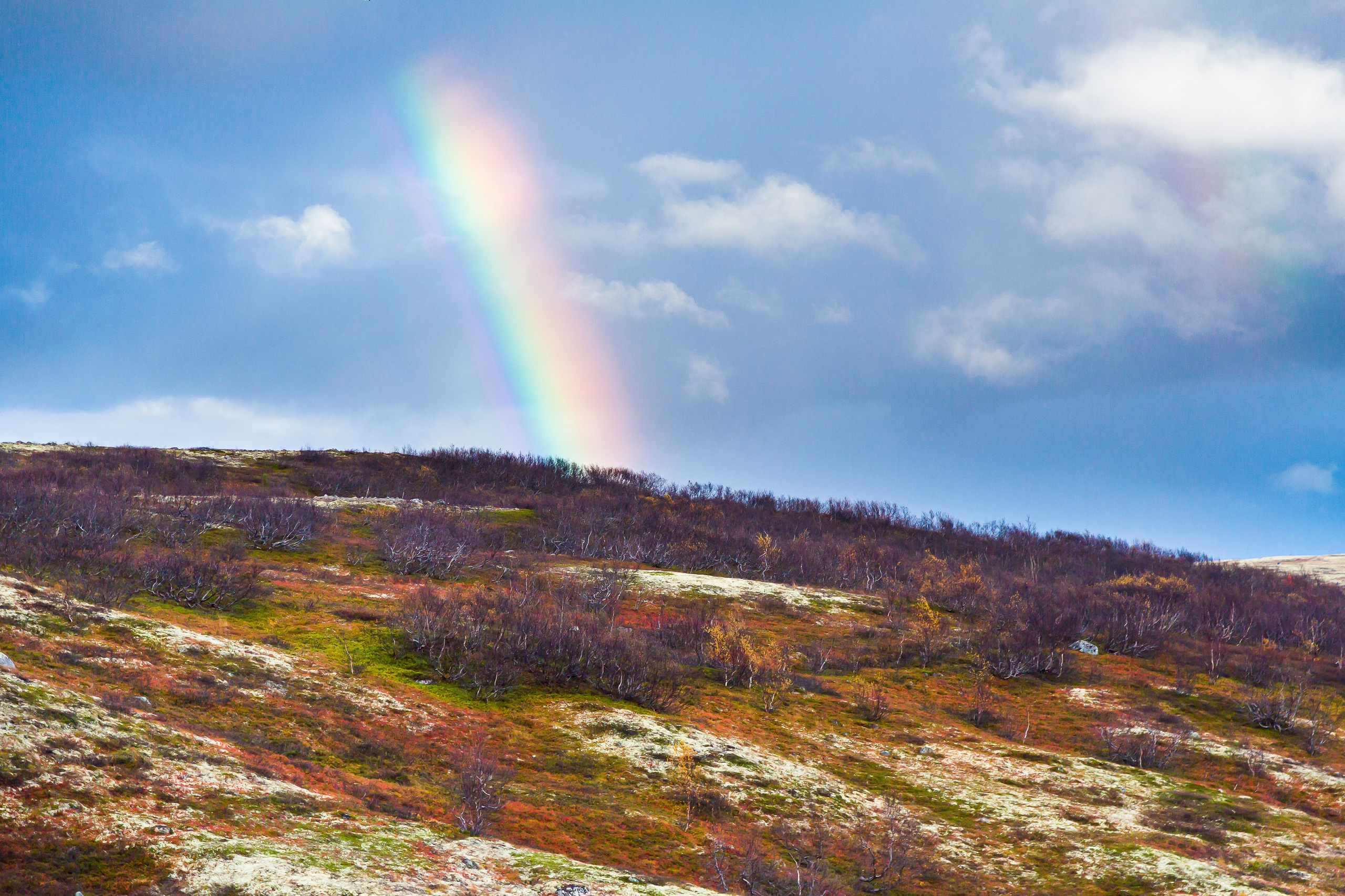 Тундра Лес и Сопки. Пейзажи Крайнего Севера. Баренцево море, Рыбачий, Средний, Немецкий