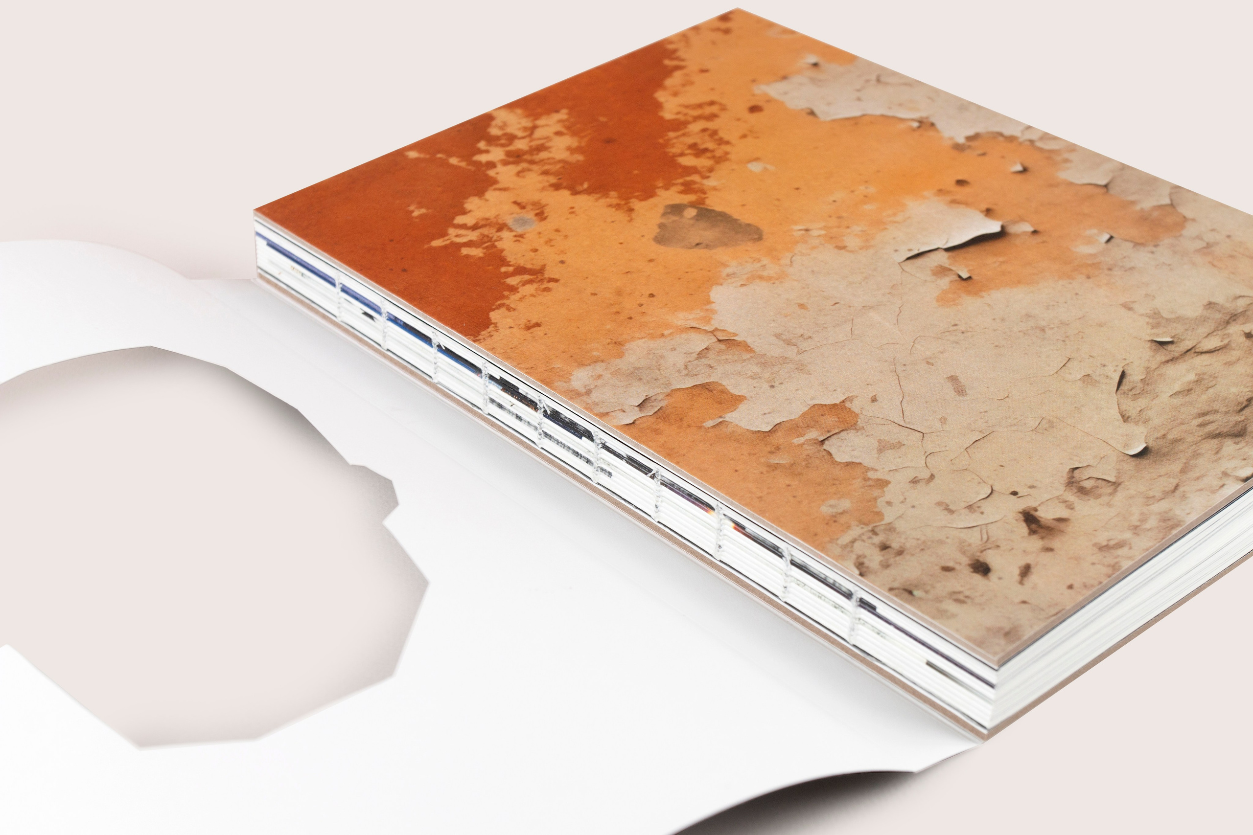 Книга. Фотограф Злата Спицына