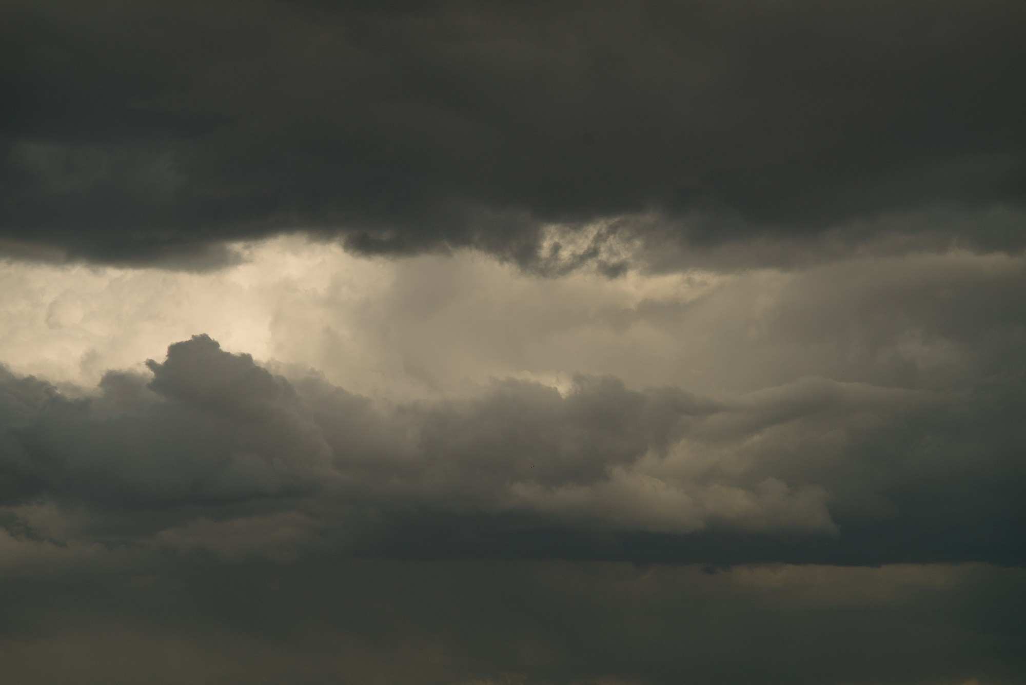 Formations. Пётр Антонов