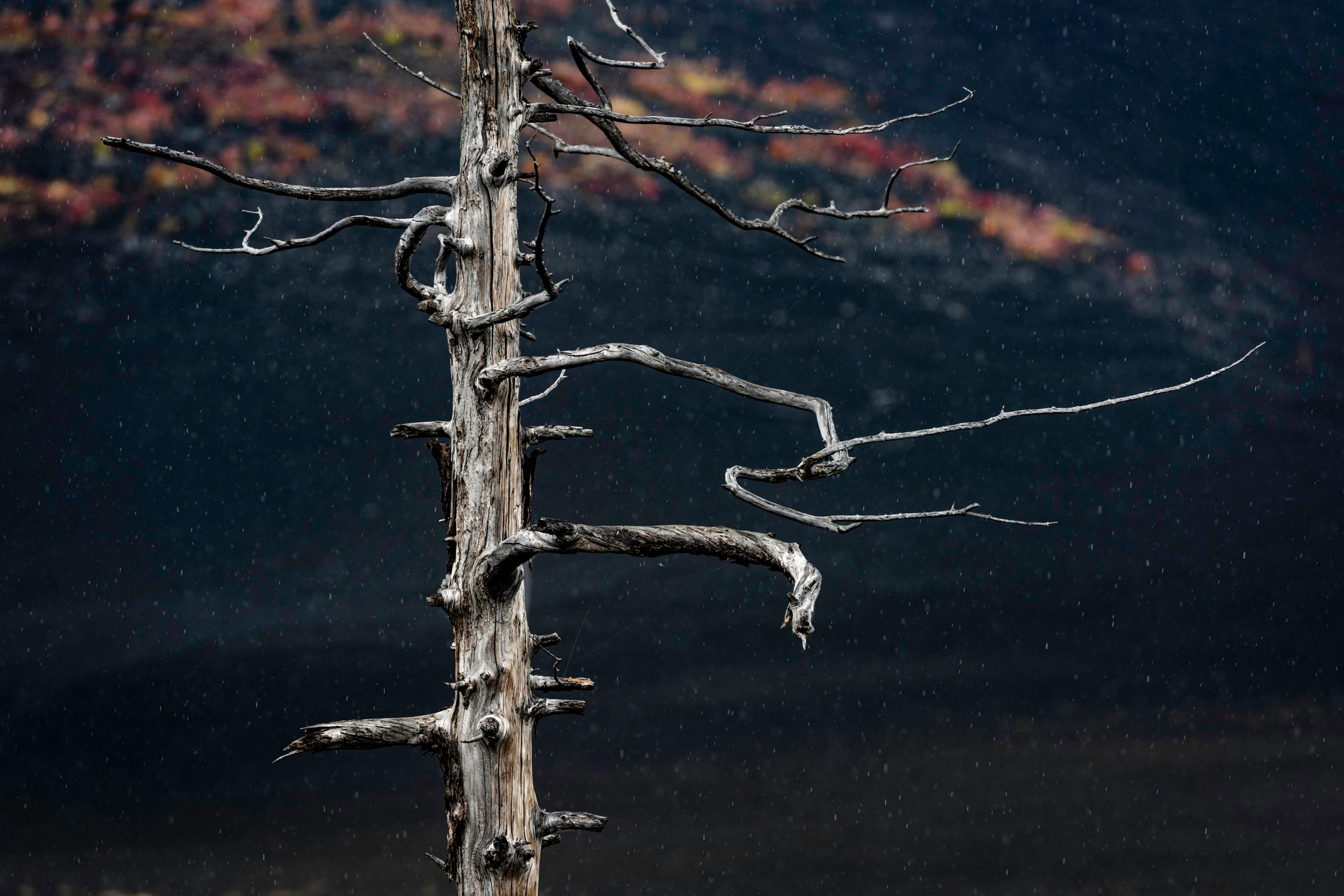 NATURE. Sailing Photographer Marina Semenova