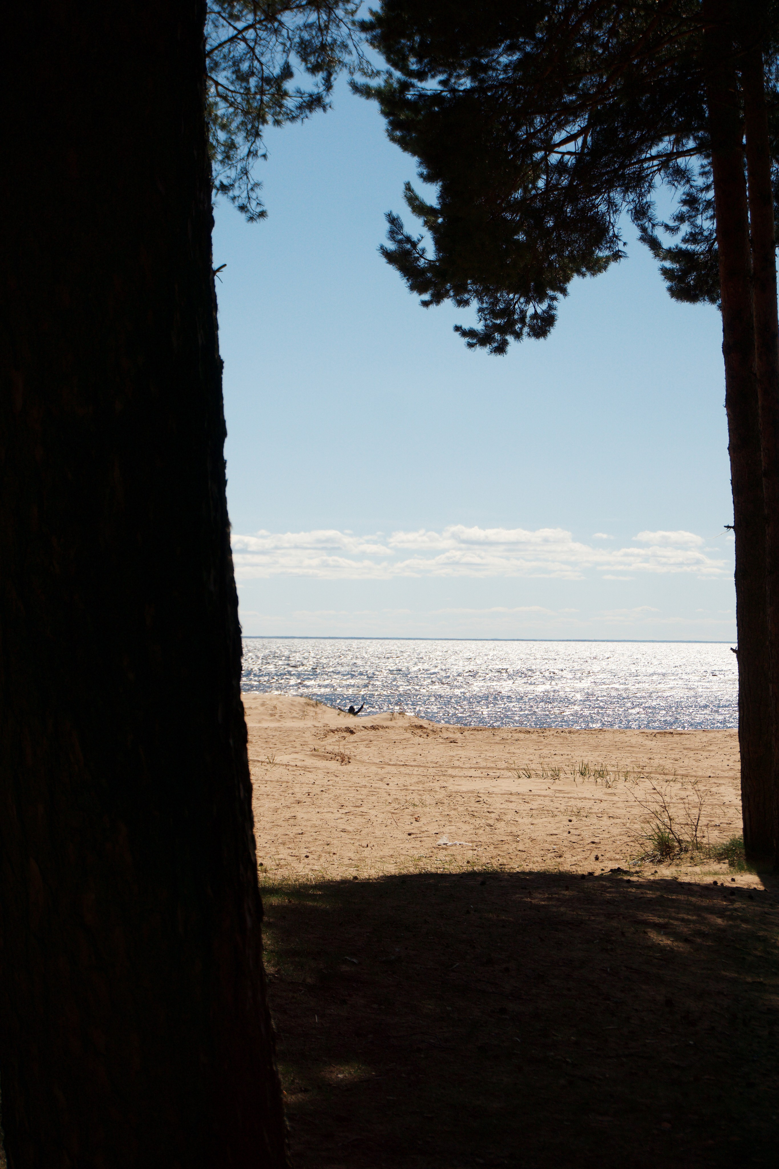 Петербург. Татьян гертье