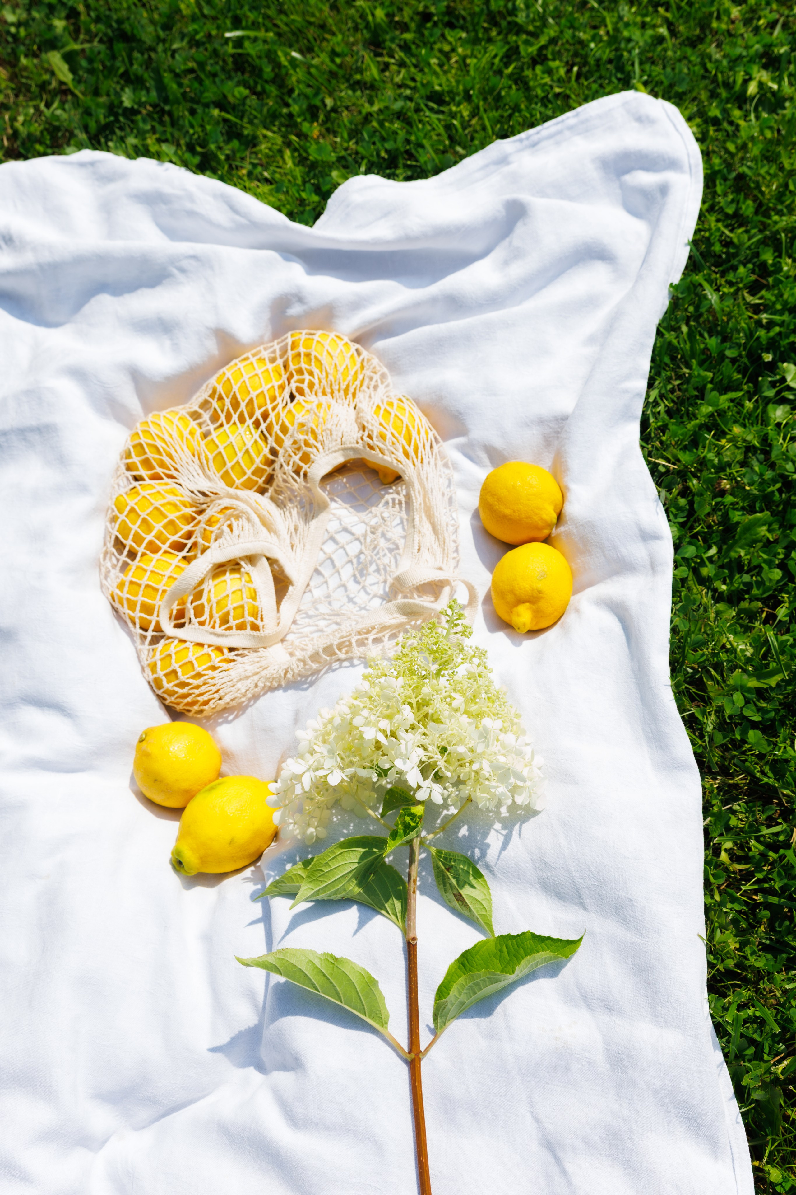 Фотосэссия в парке «Лимоны». Привет! Я Мила, фотограф, свои сьемки провожу в СПБ, (п.Новоселье) (г.Кудрово)