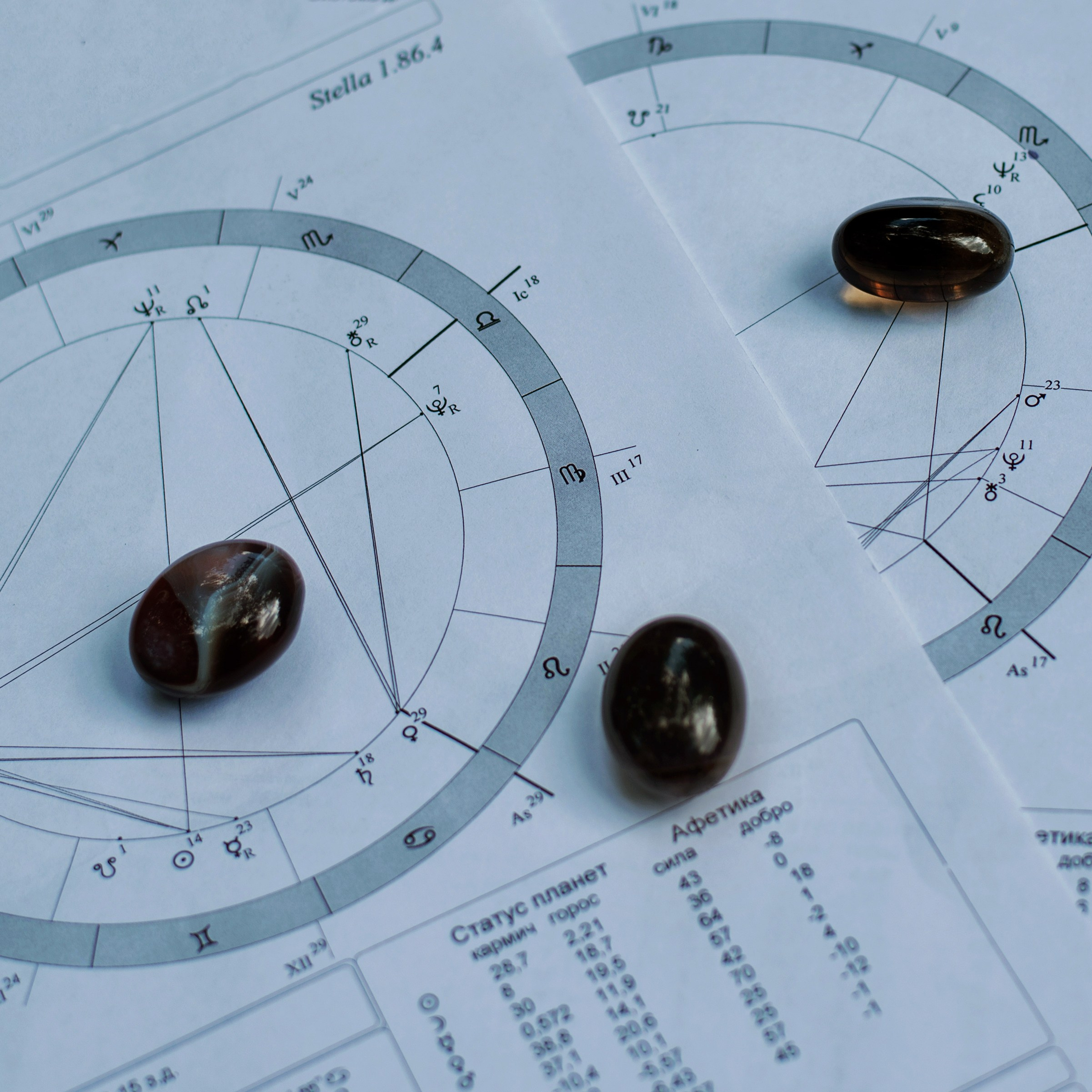 Астролог. Лина Курочка — ваш фотограф