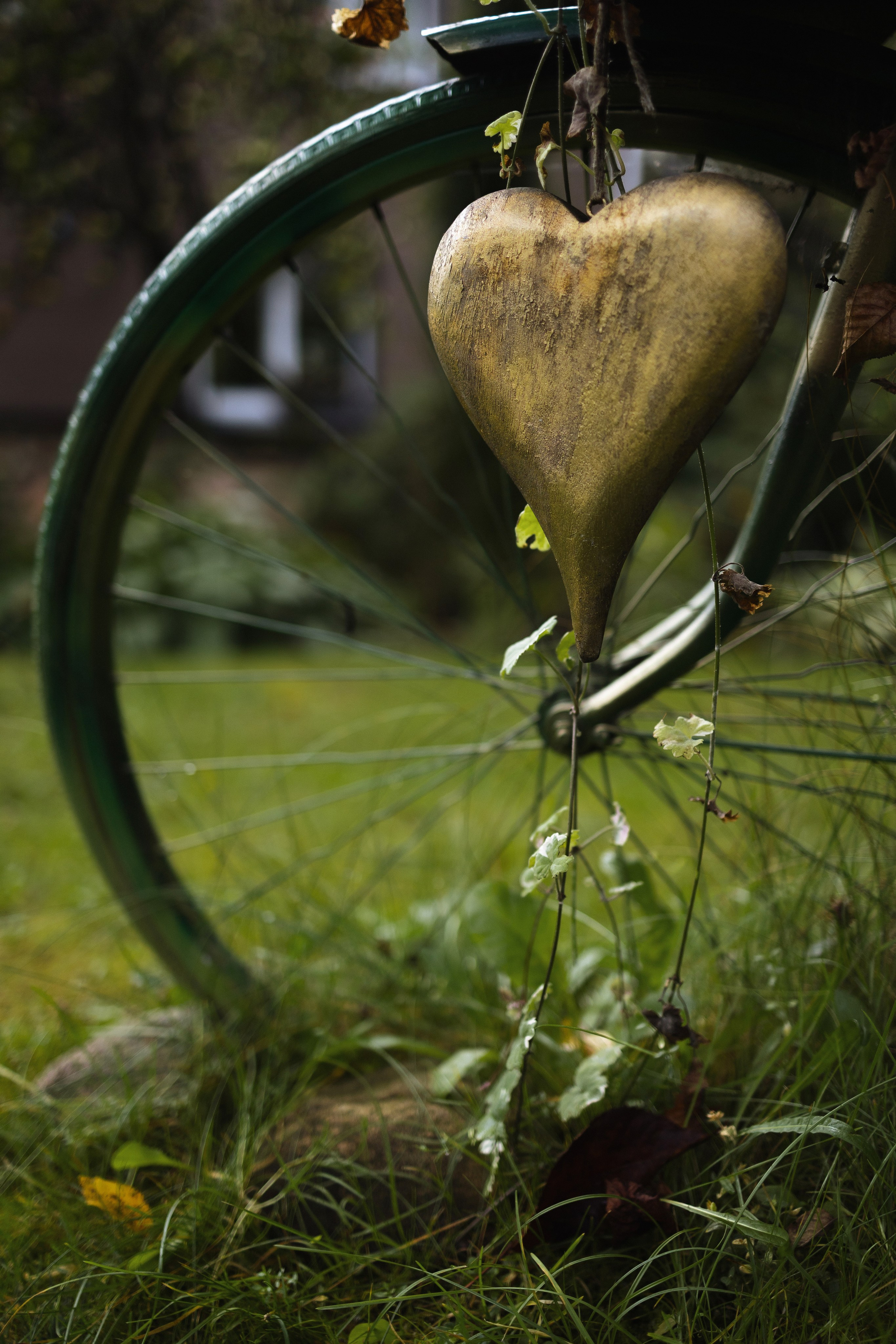 P&V. Свадебный фотограф Лиза Макатович Беларусь Минск