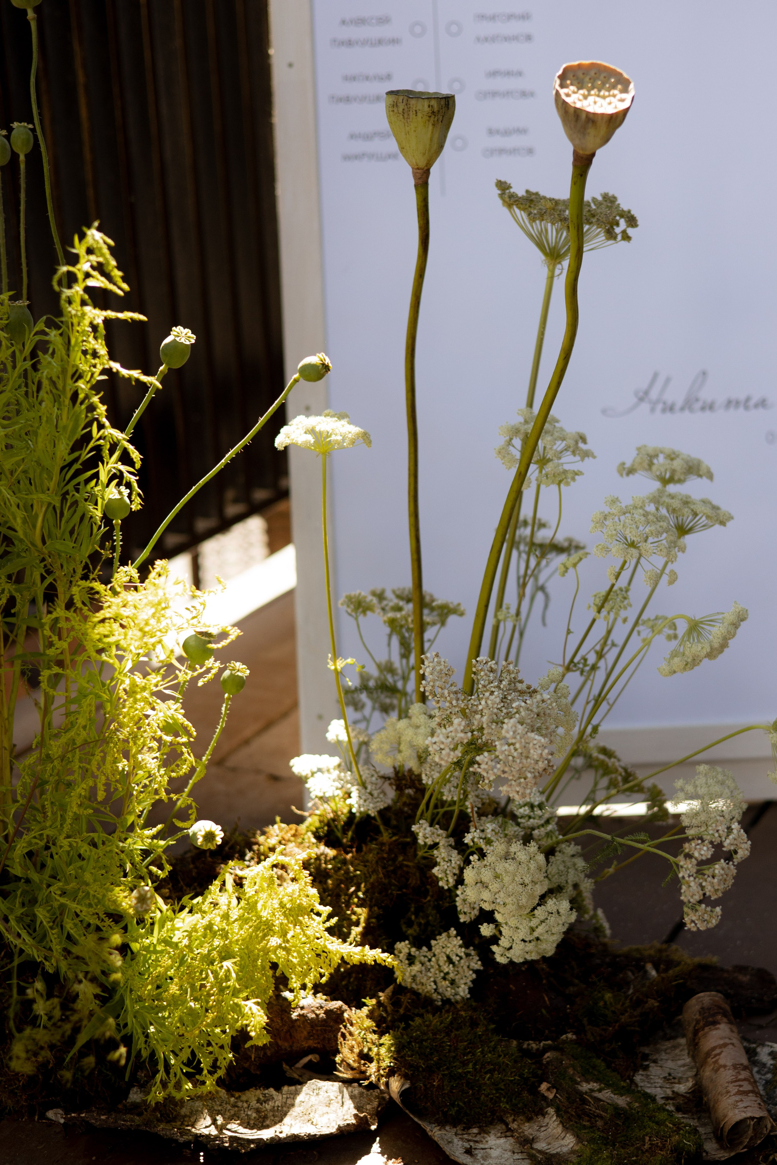 Никита & Катя. Оформление свадеб, декор свадеб Вера Маркова, Москва