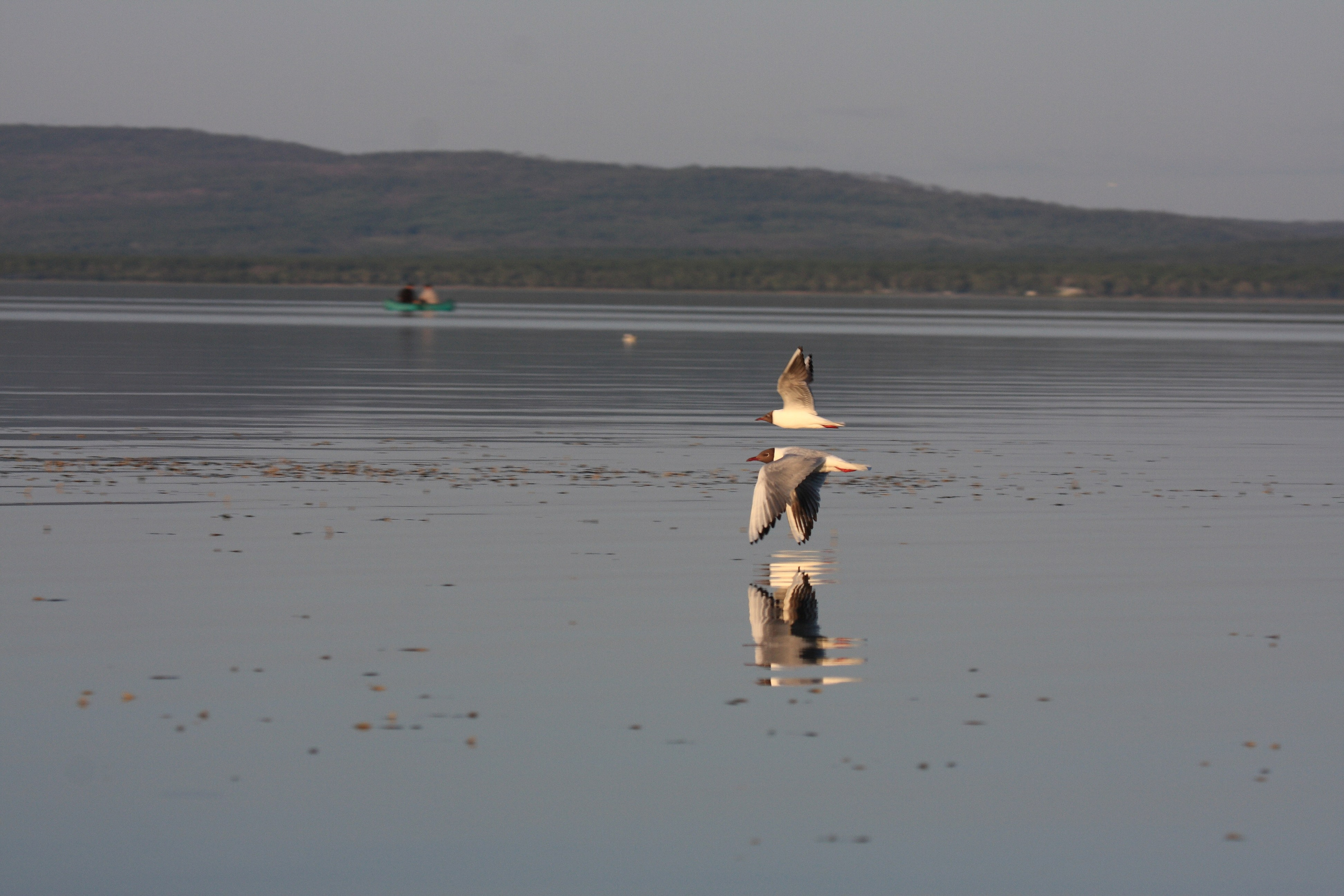 Фото Природы Забайкалья. Студия Максима Белослюдцева