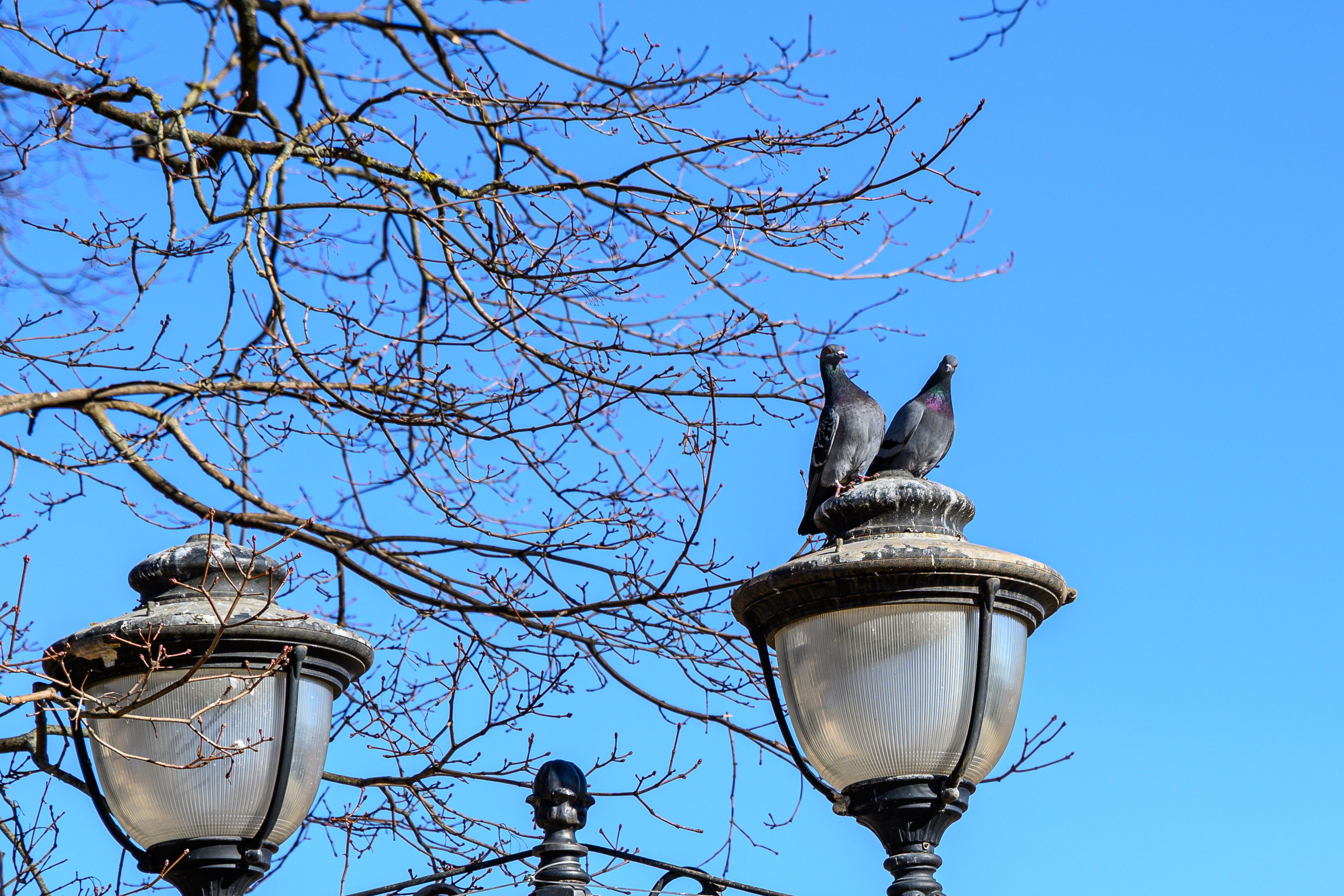 Троице-Сергиева Лавра 9.03.2025