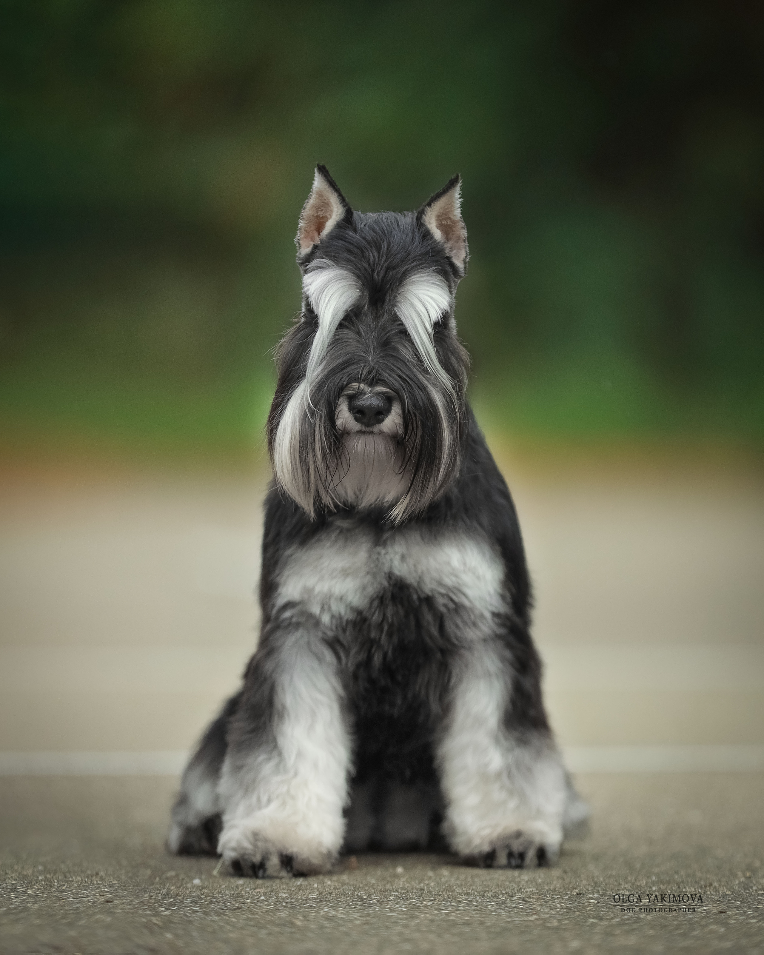 Экстерьер. Фотограф