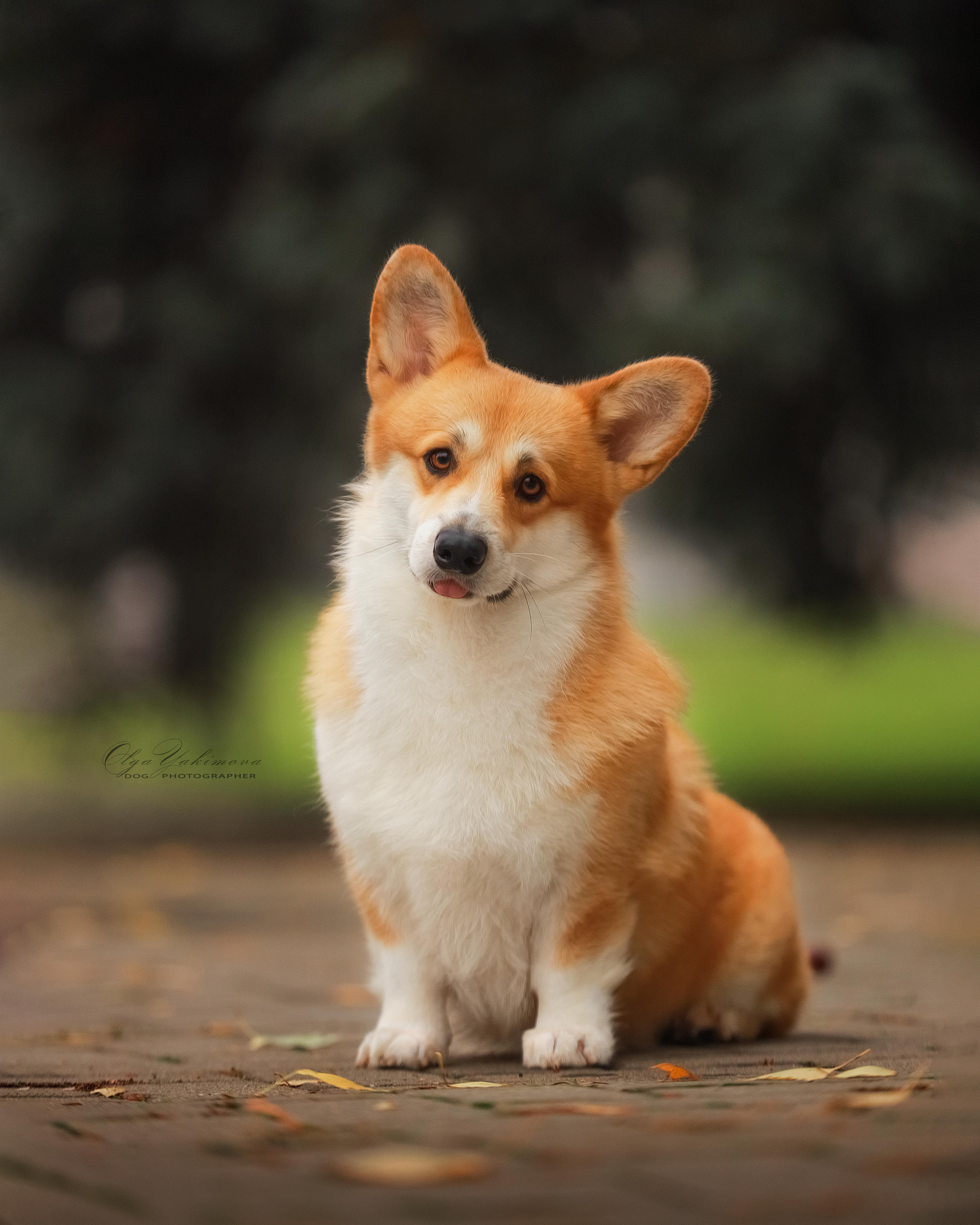 Экстерьер. Фотограф