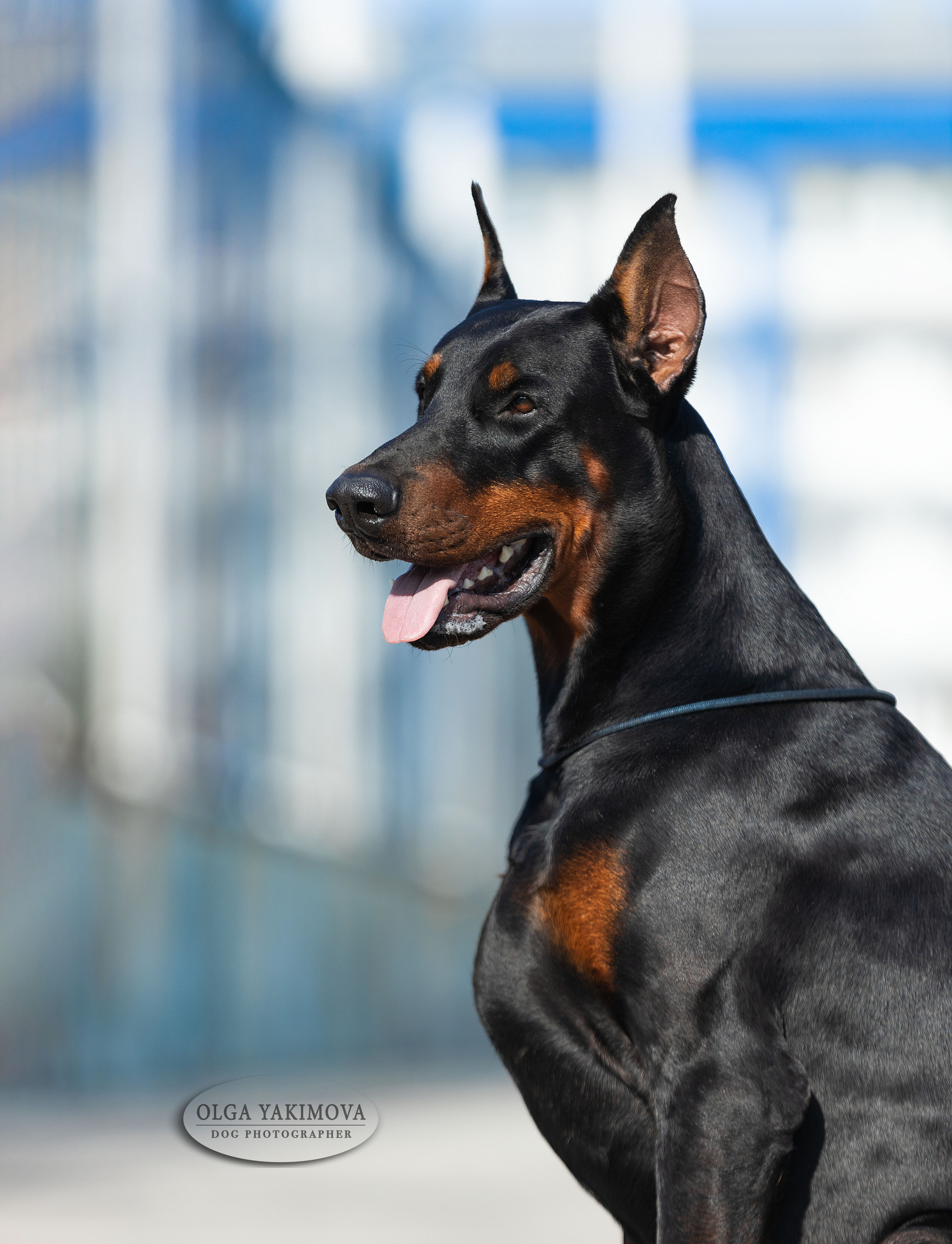 Экстерьер. Фотограф