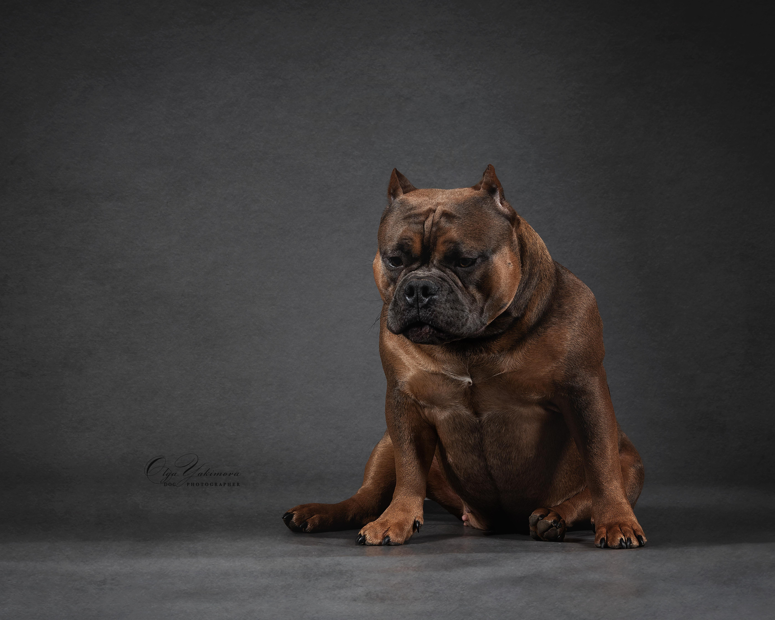 Булочки. Фотограф