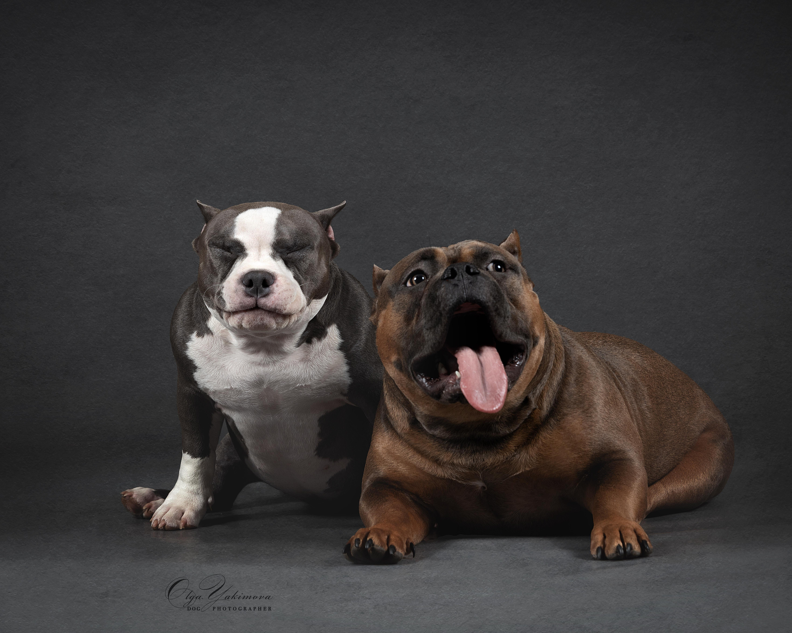 Булочки. Фотограф