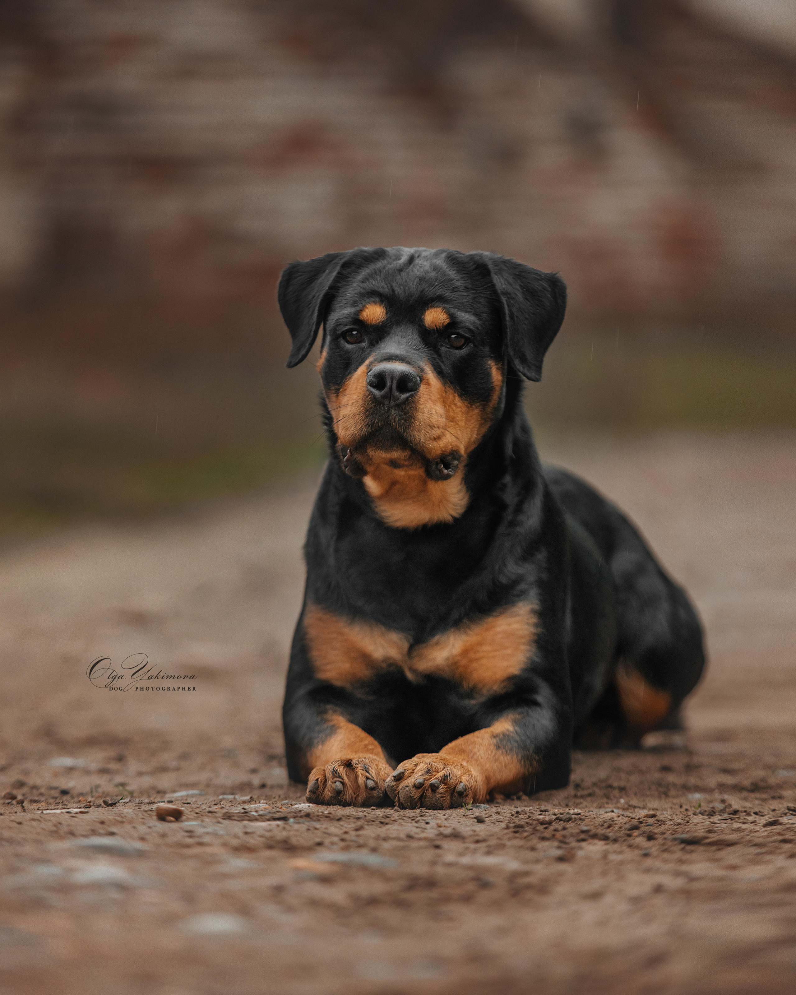 Экстерьер. Фотограф