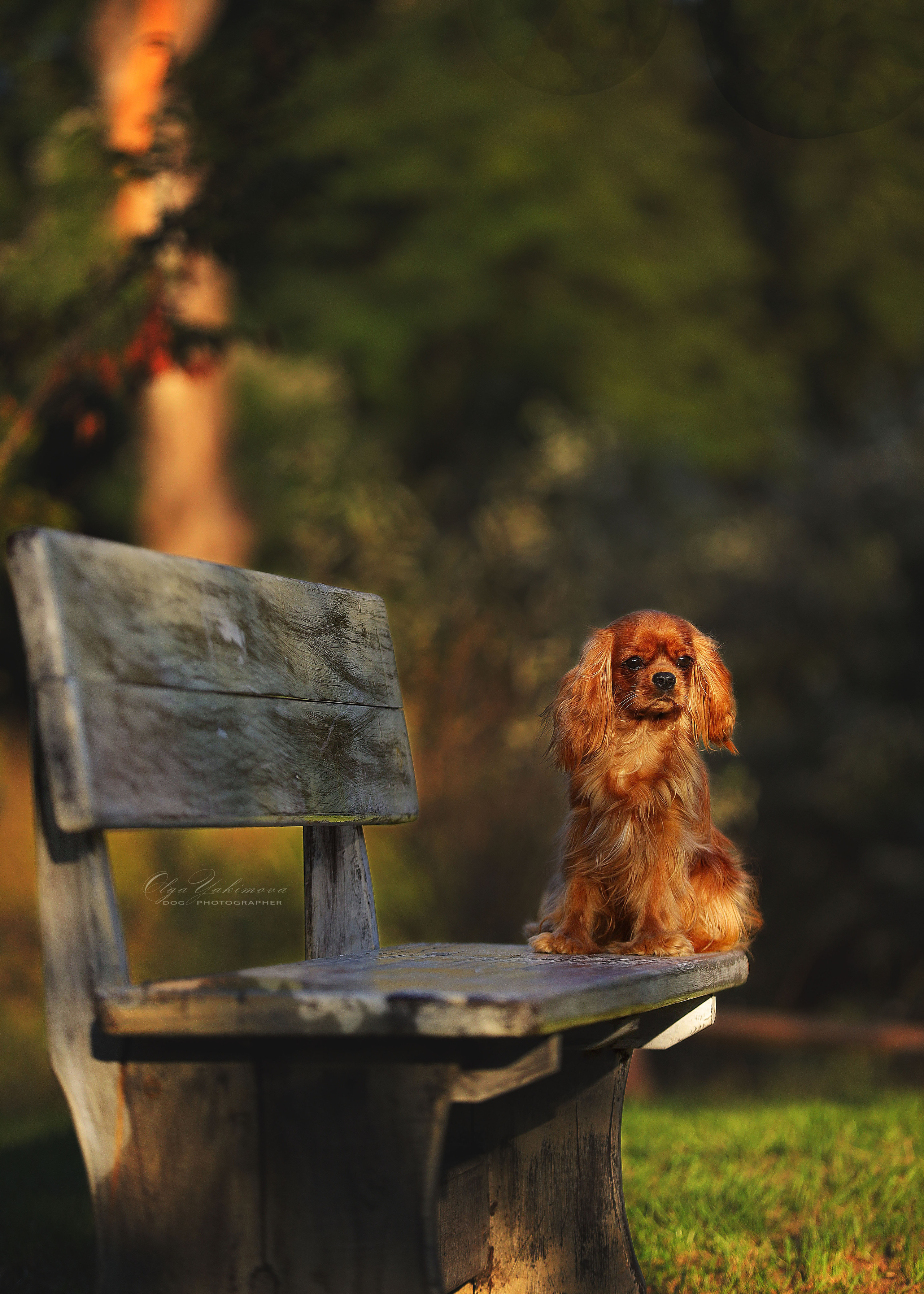 Экстерьер. Фотограф