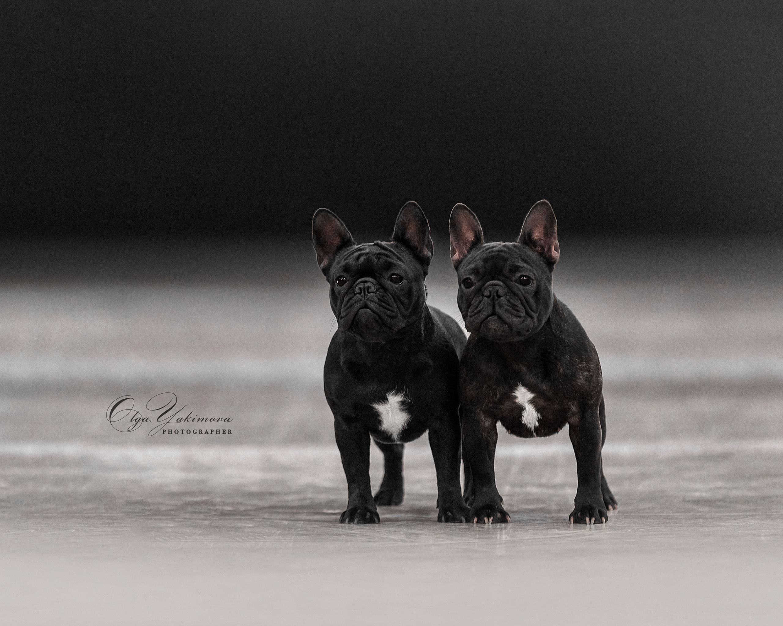 Экстерьер. Фотограф