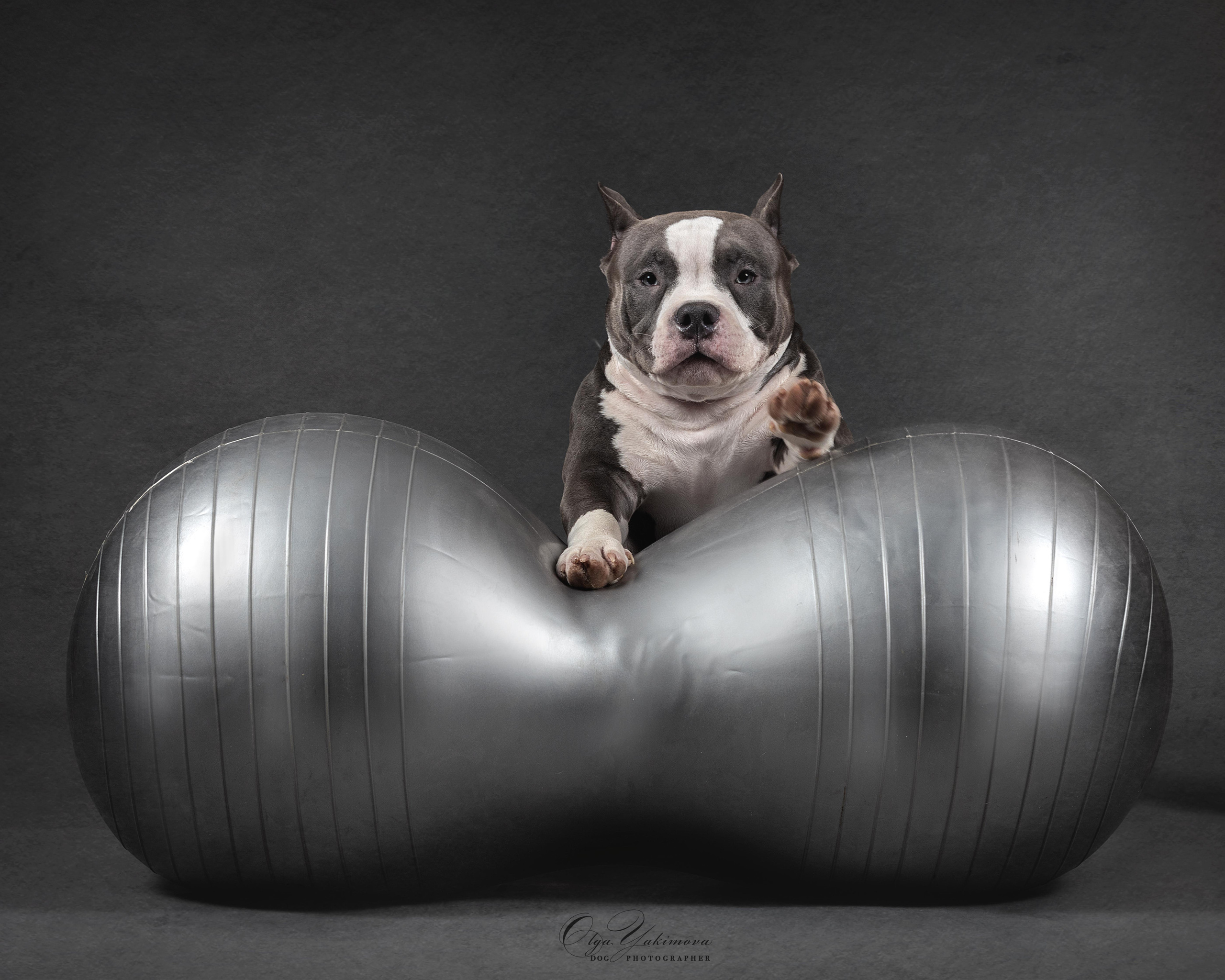 Булочки. Фотограф