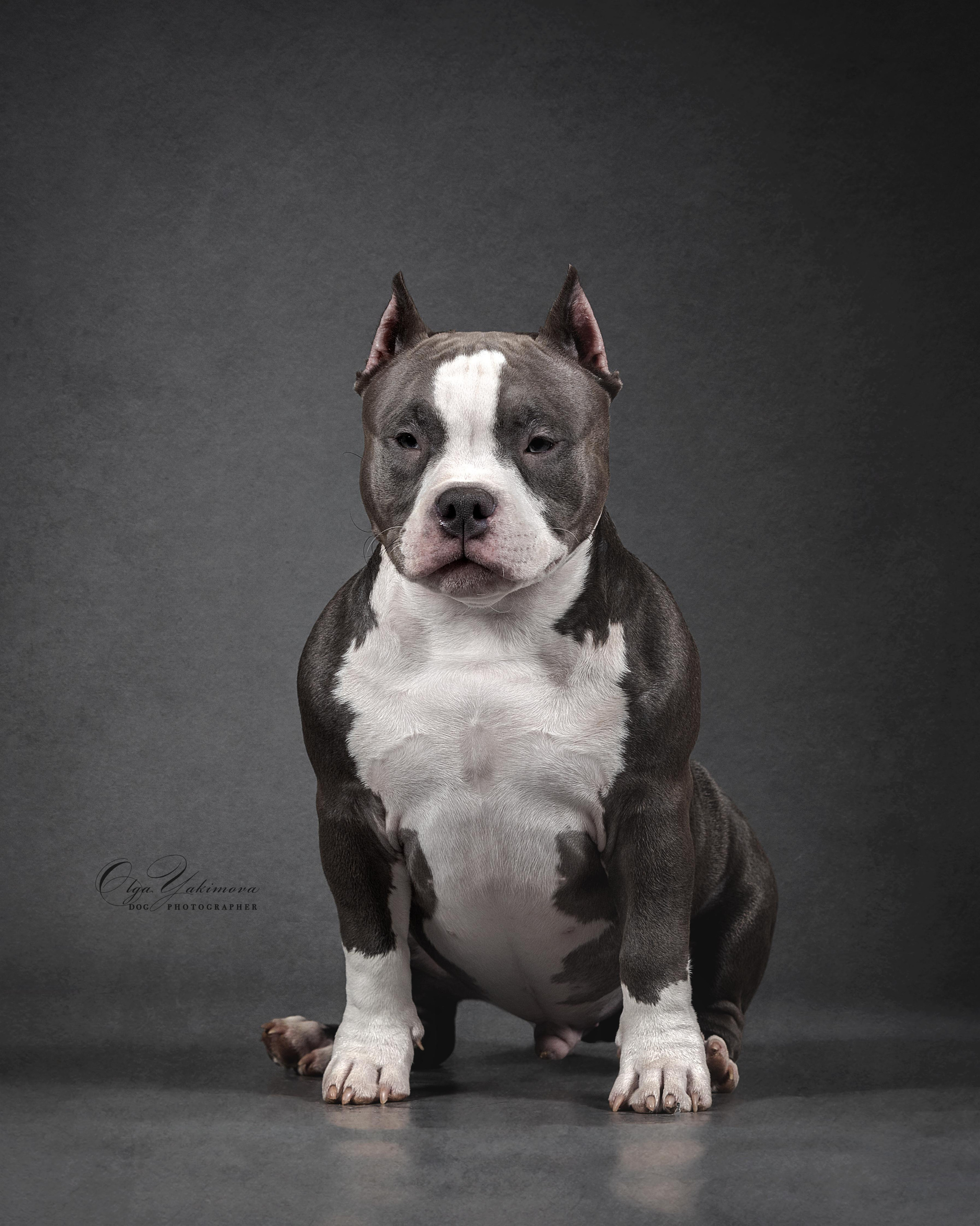 Экстерьер. Фотограф