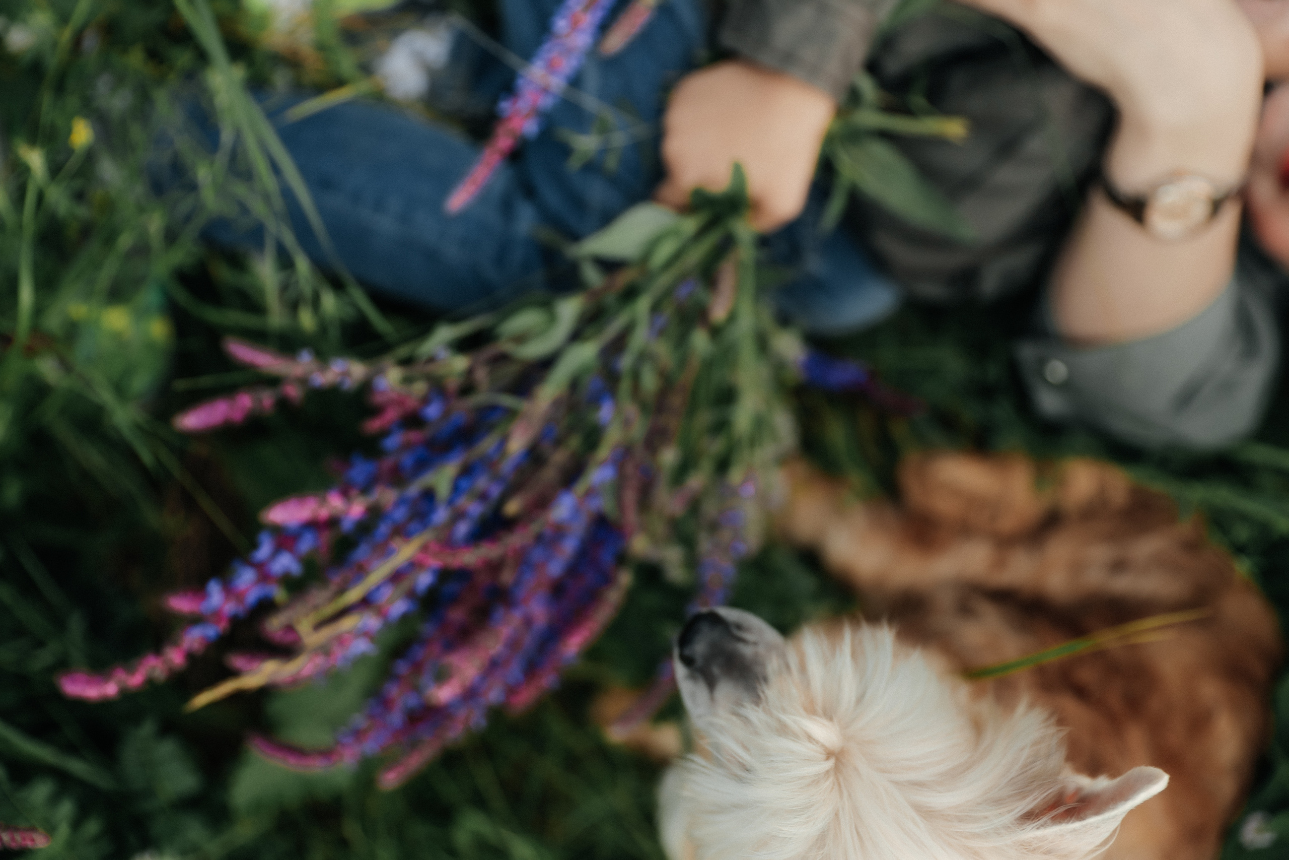 Елена, Ванечка и Злата. Фотограф