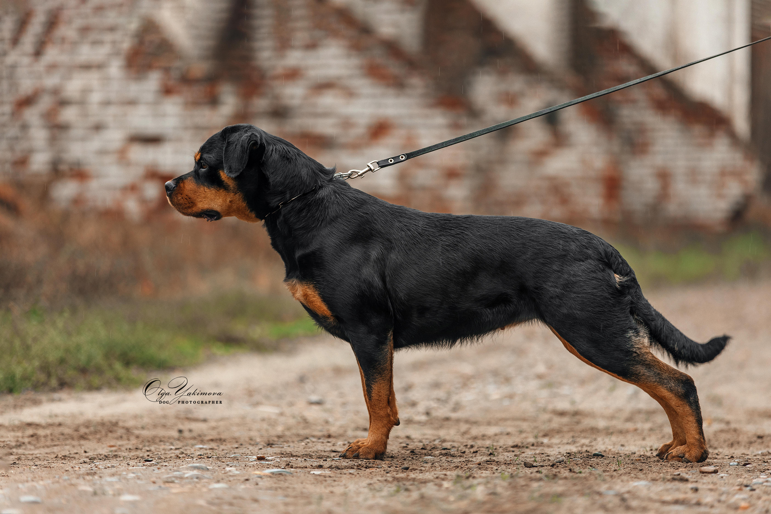 Экстерьер. Фотограф