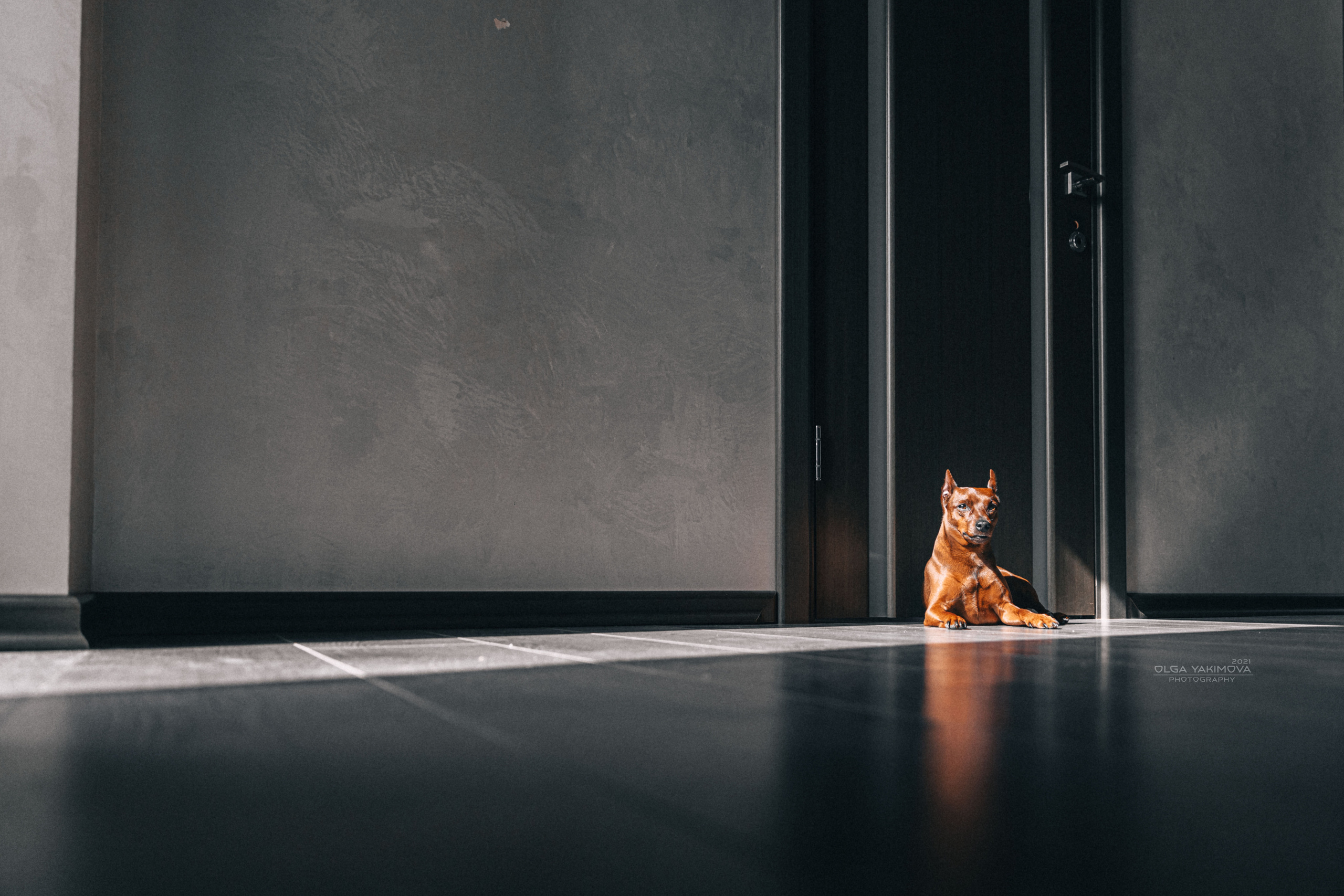 Брут и Аркад. Фотограф