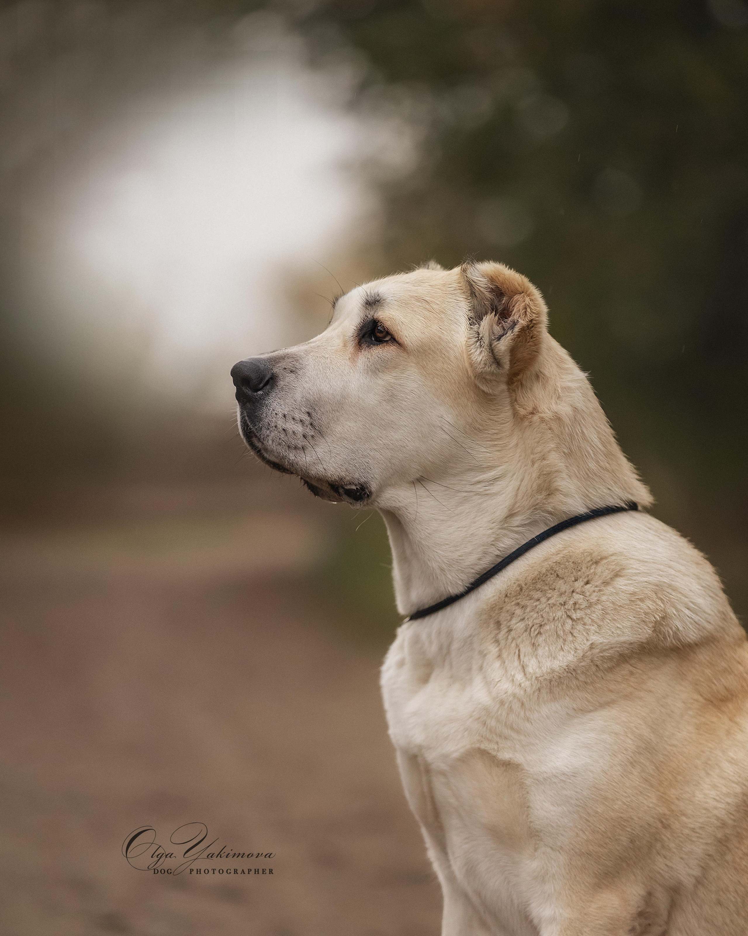 Экстерьер. Фотограф