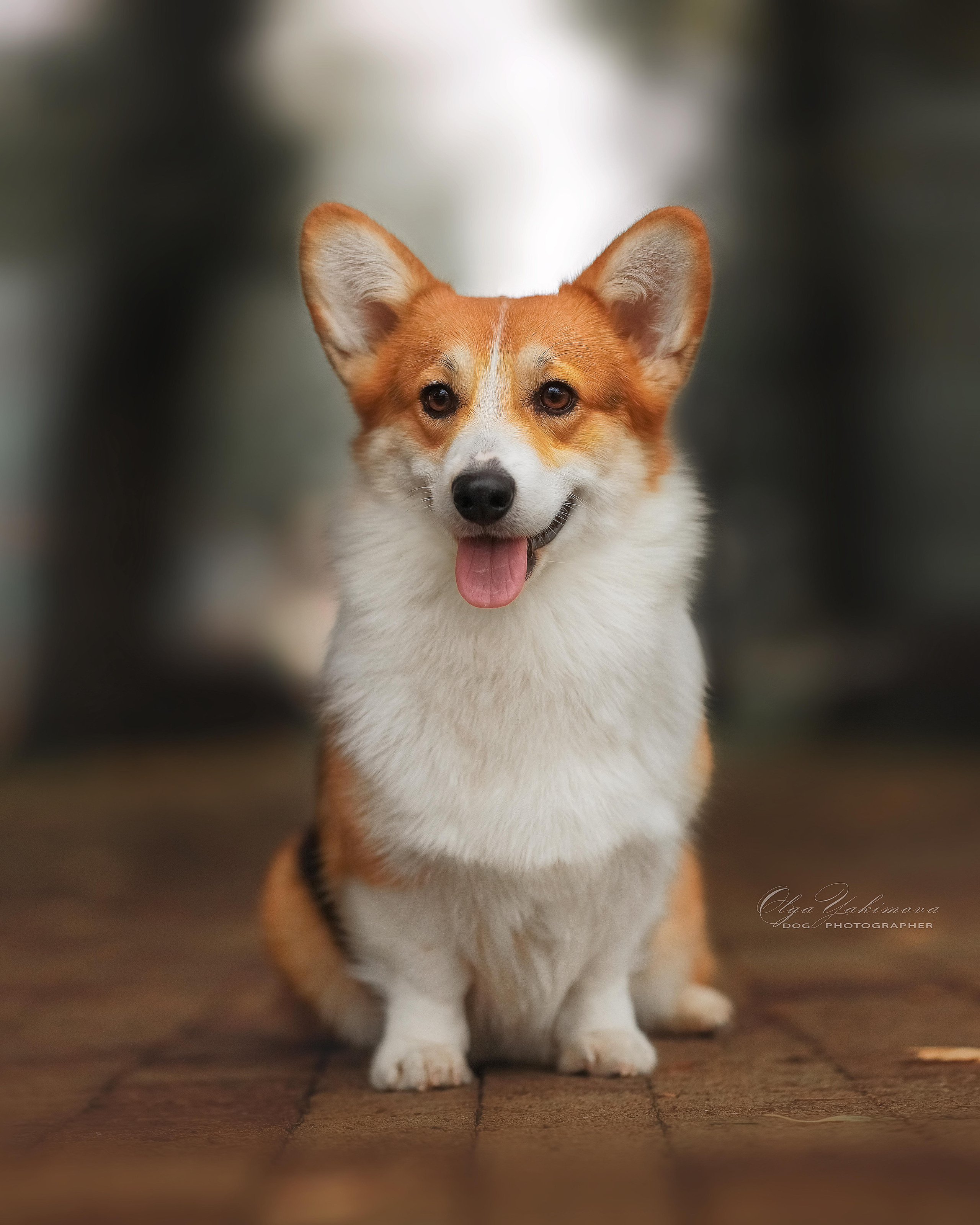 Экстерьер. Фотограф