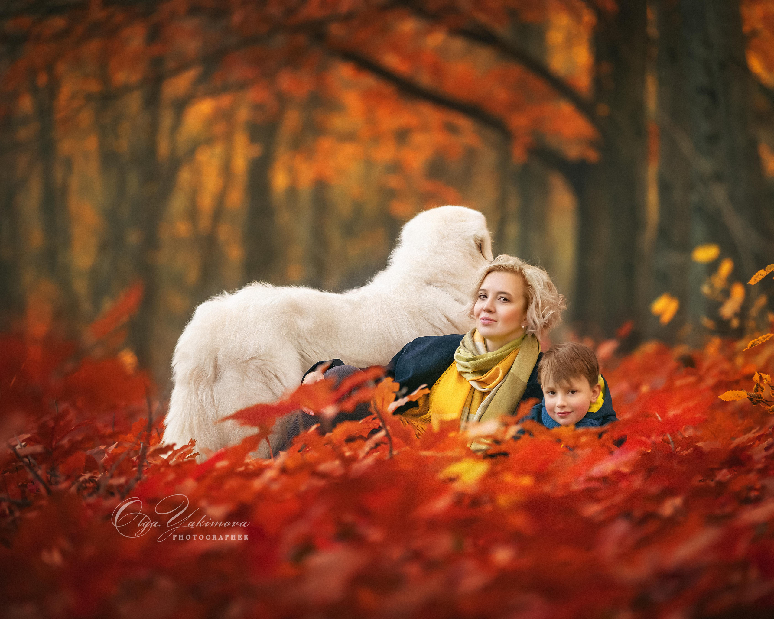 Елена...... Фотограф