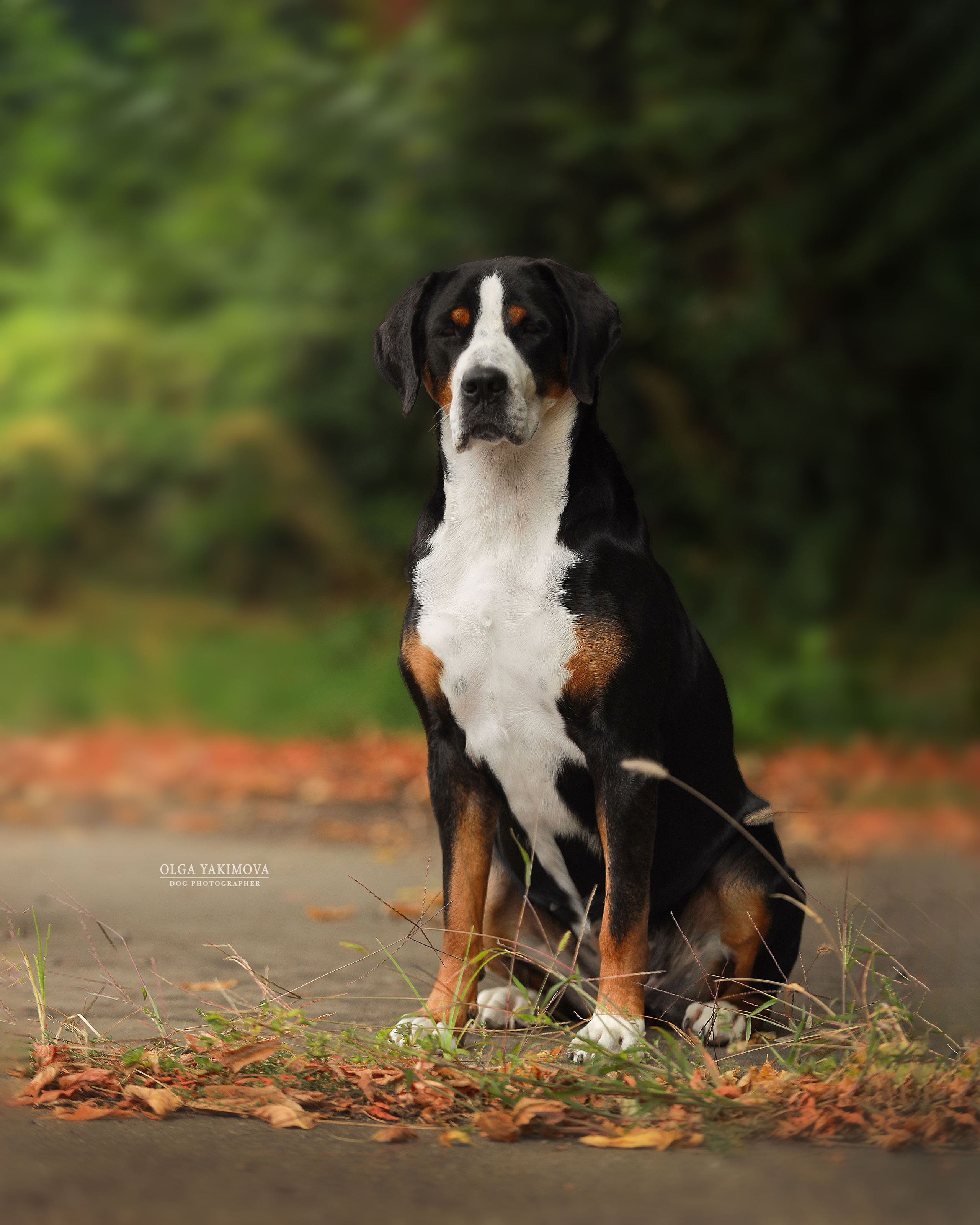 Экстерьер. Фотограф