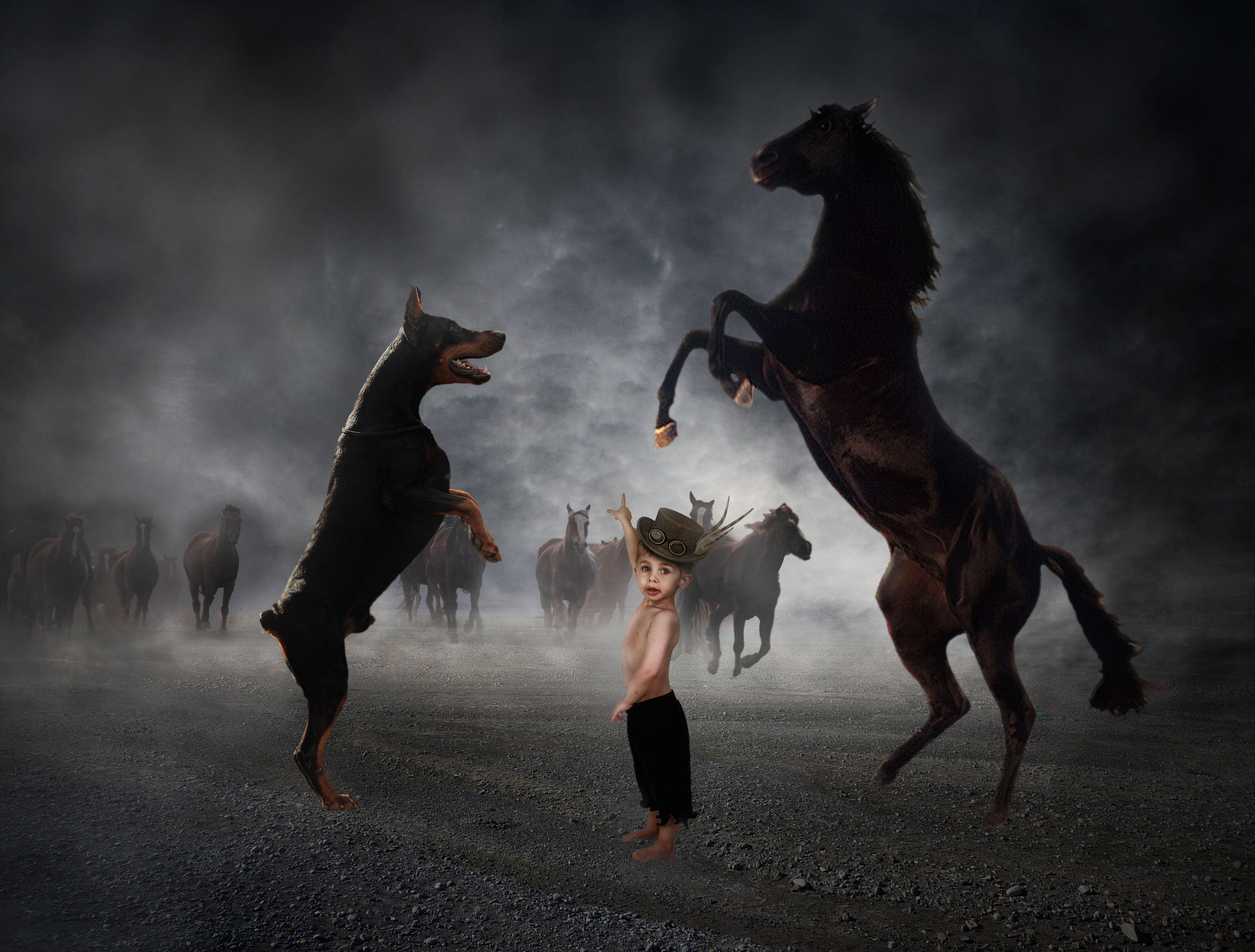 Animal presentation. Фотограф