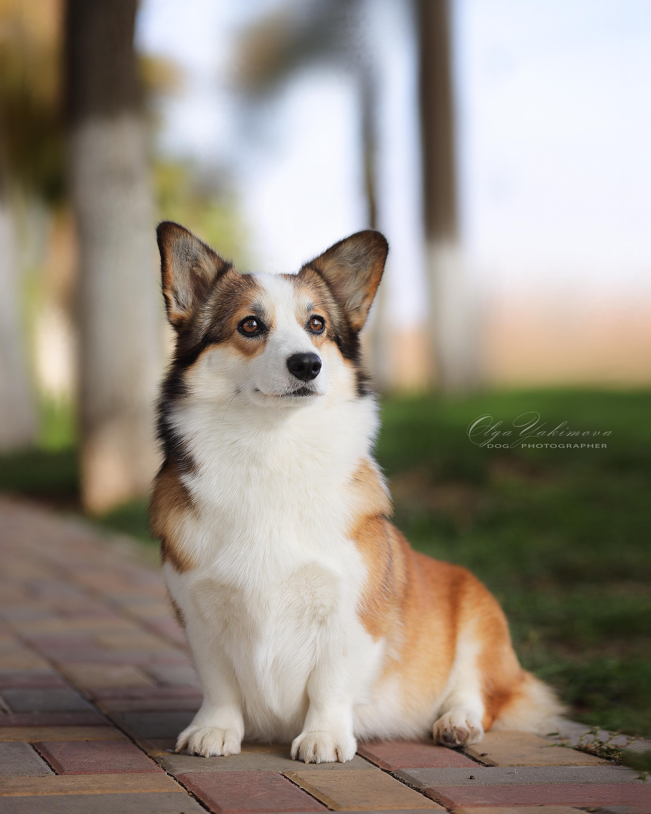 Экстерьер. Фотограф