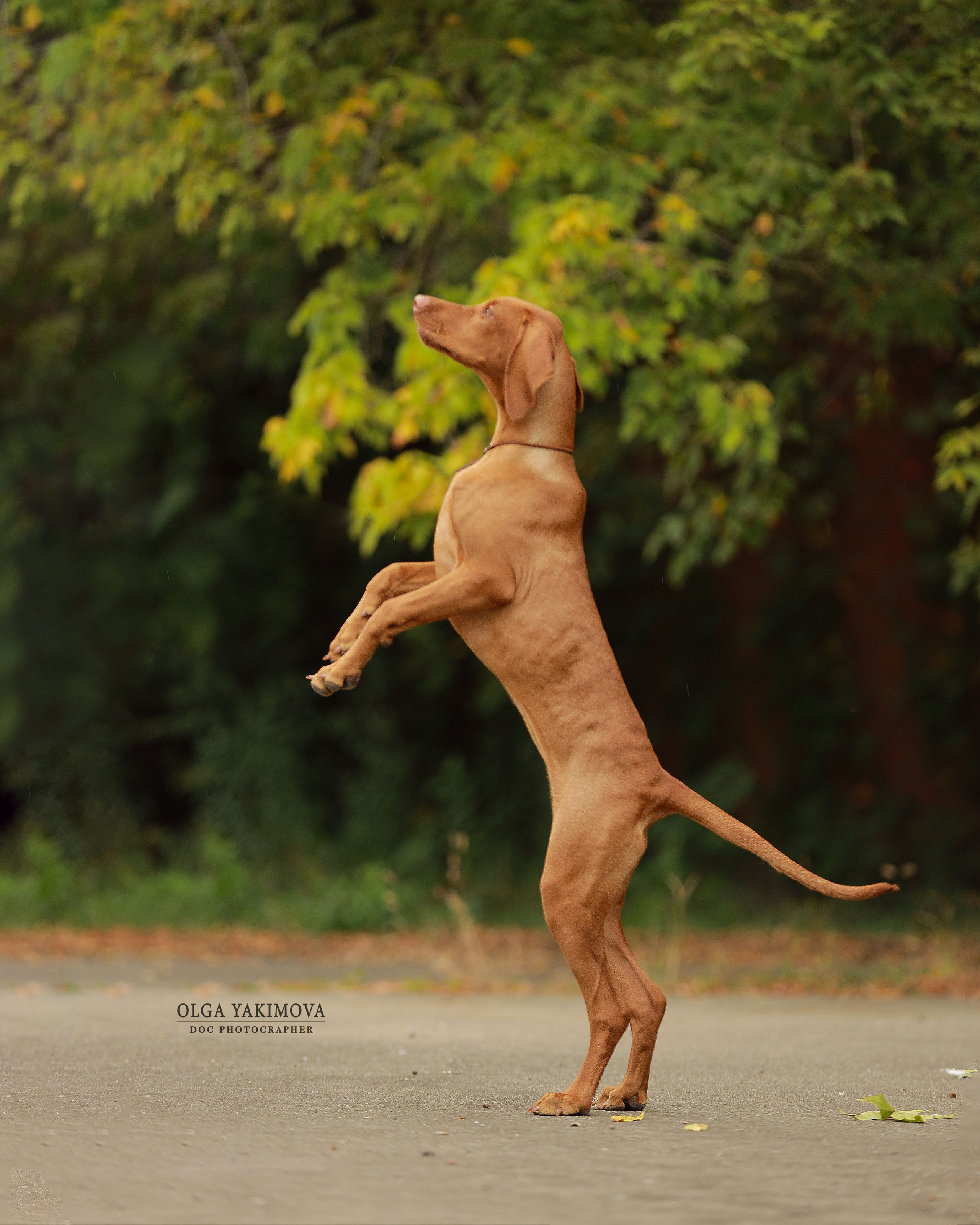 Экстерьер. Фотограф