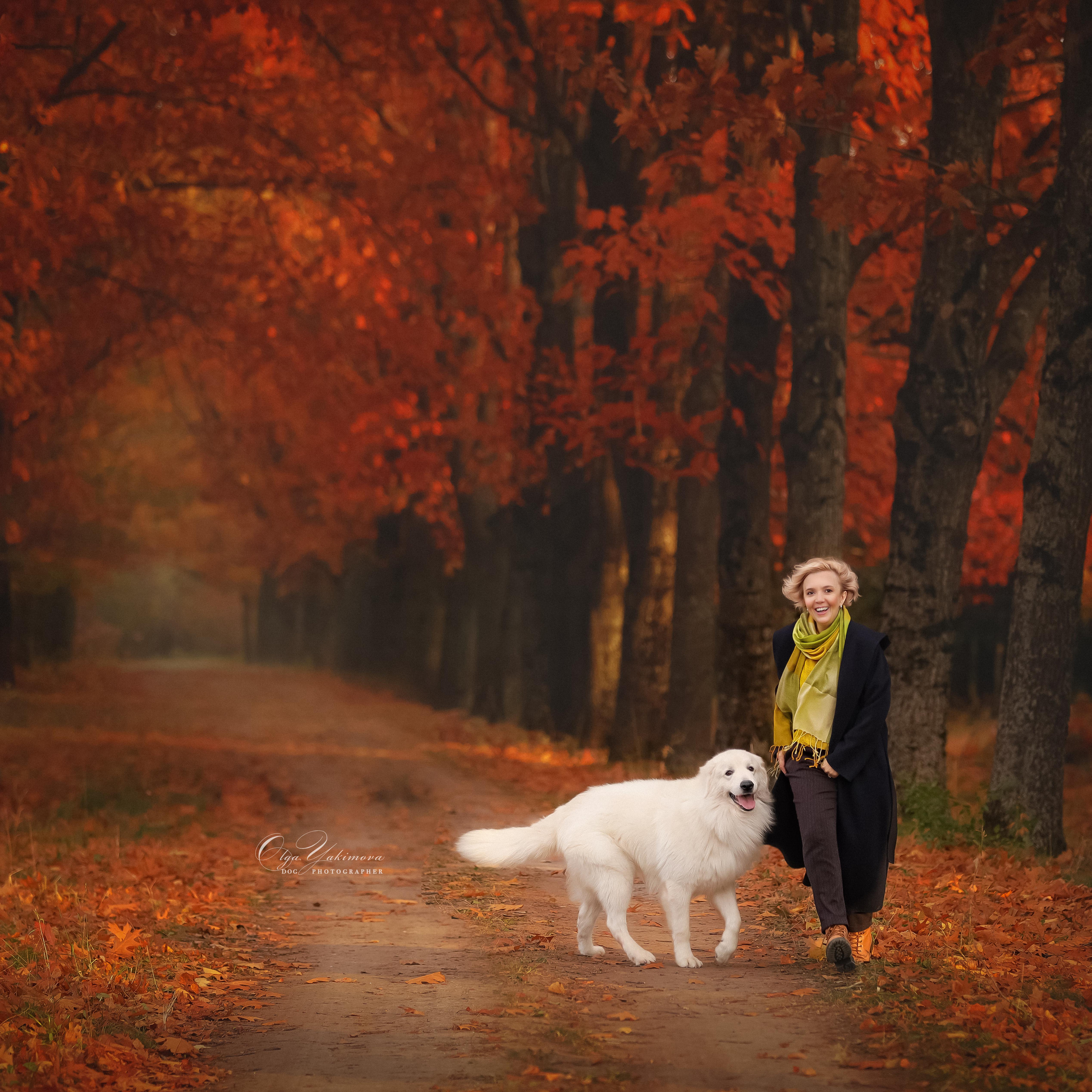 Елена...... Фотограф