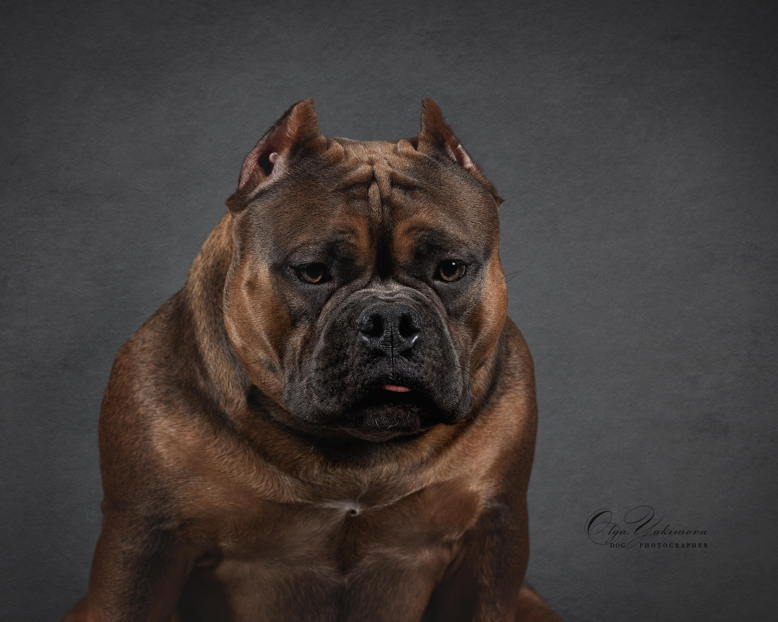 Экстерьер. Фотограф