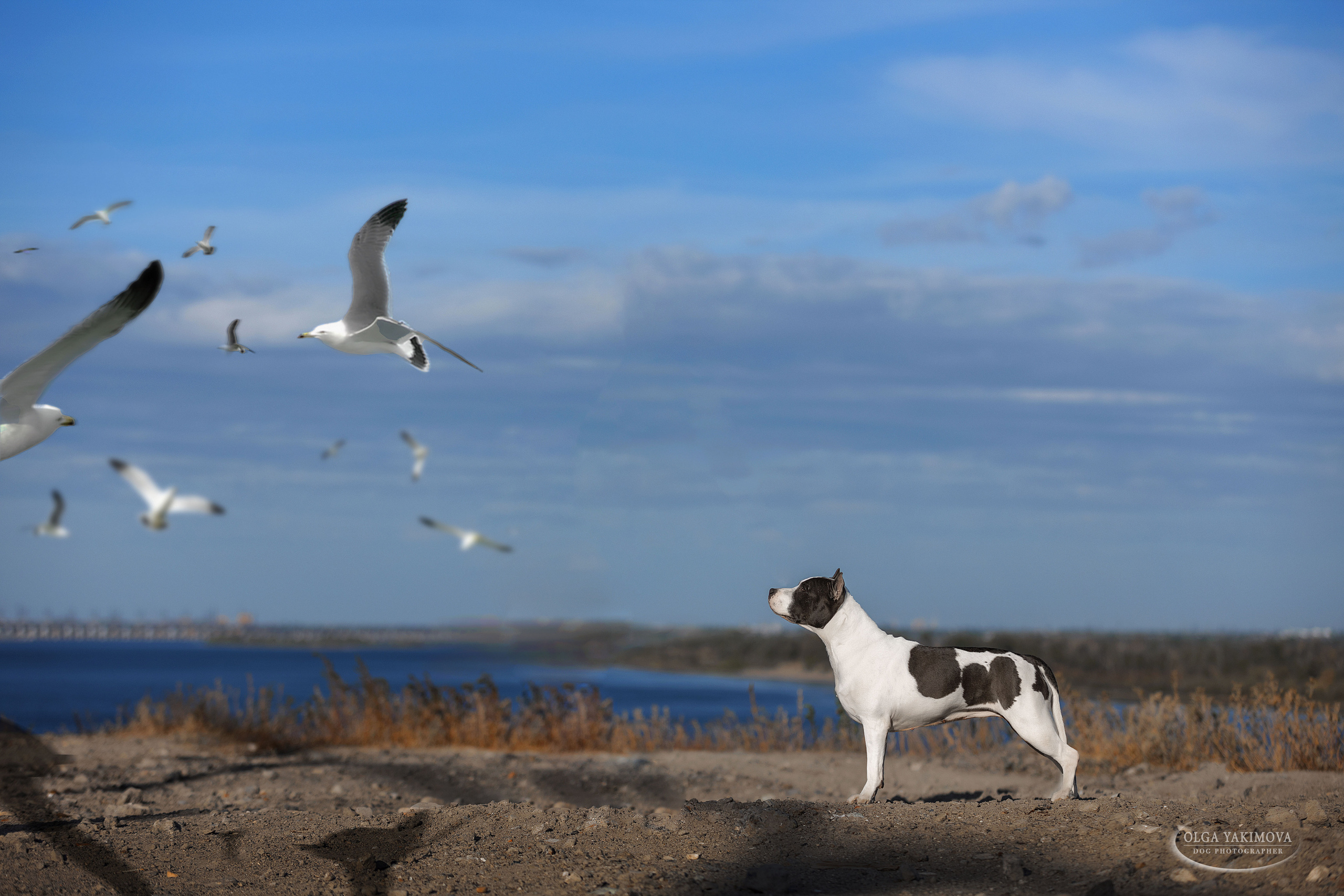 Экстерьер. Фотограф