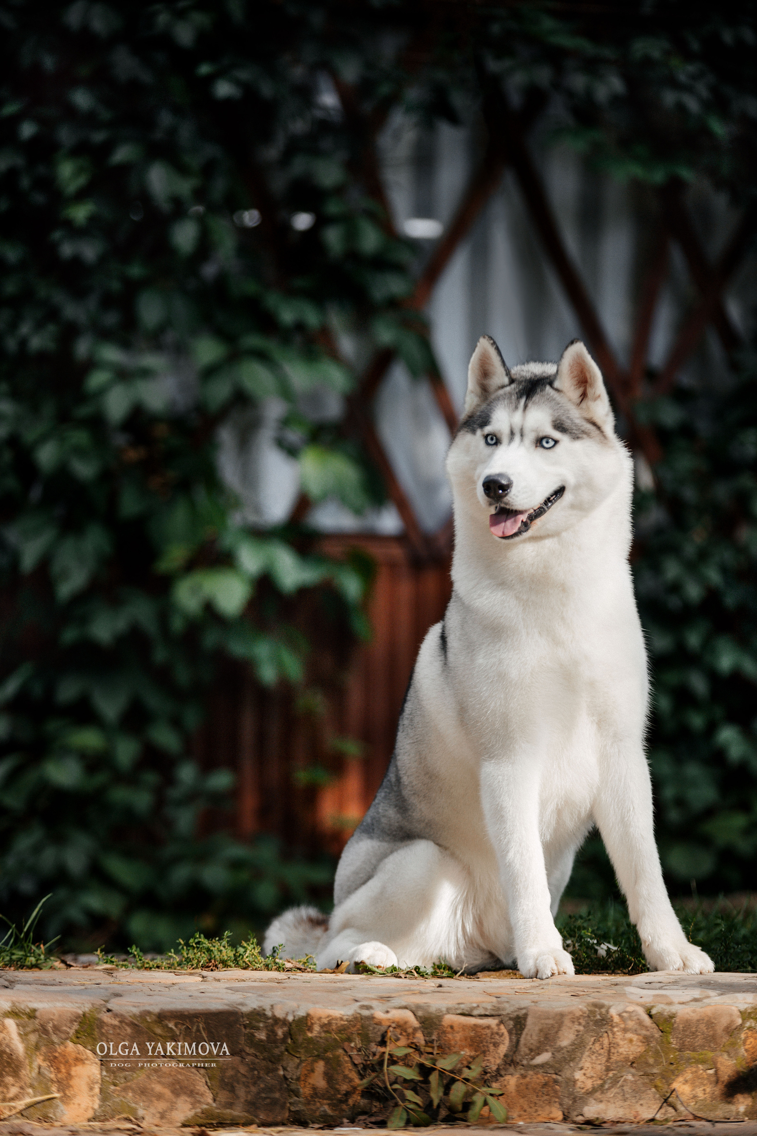 Экстерьер. Фотограф