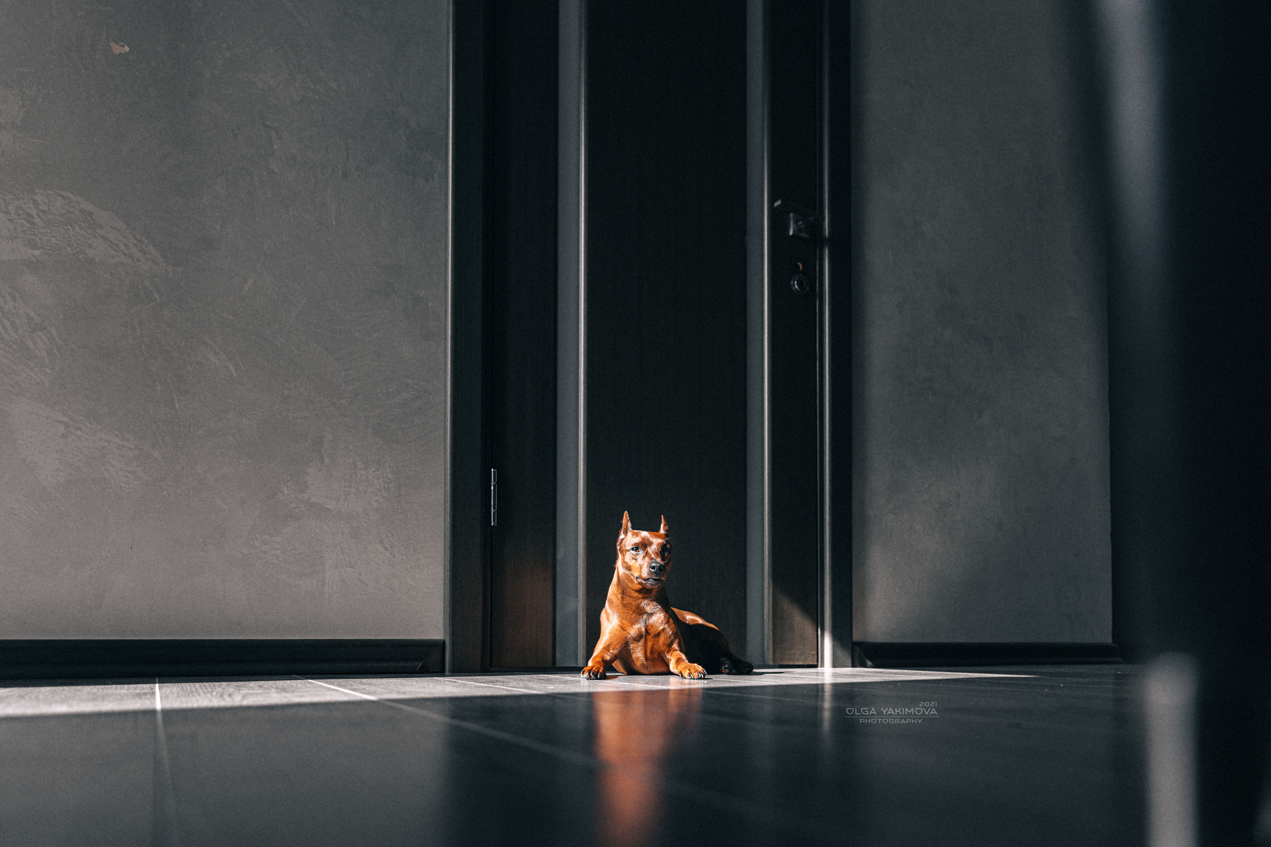 Брут и Аркад. Фотограф