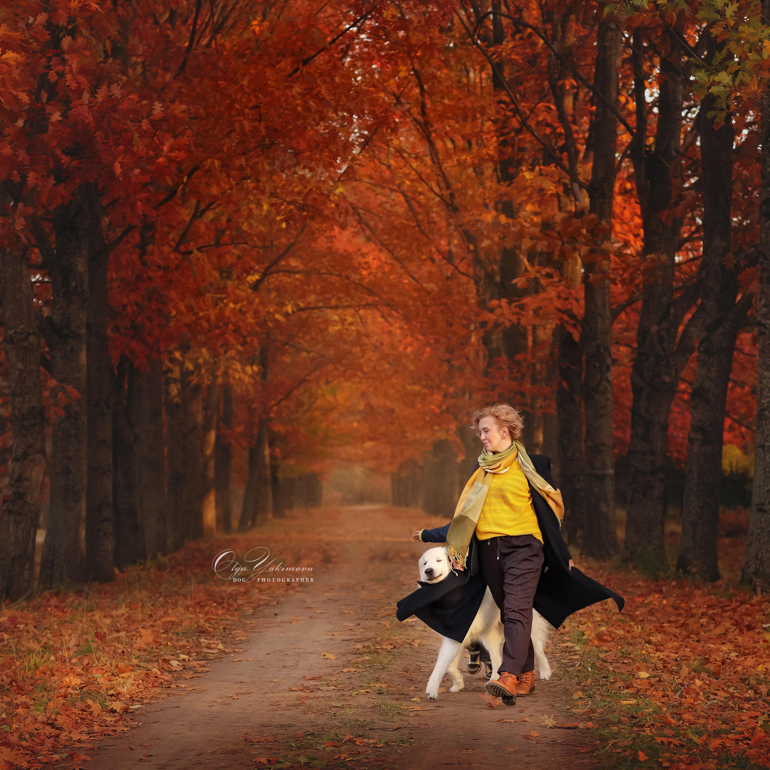 Елена...... Фотограф