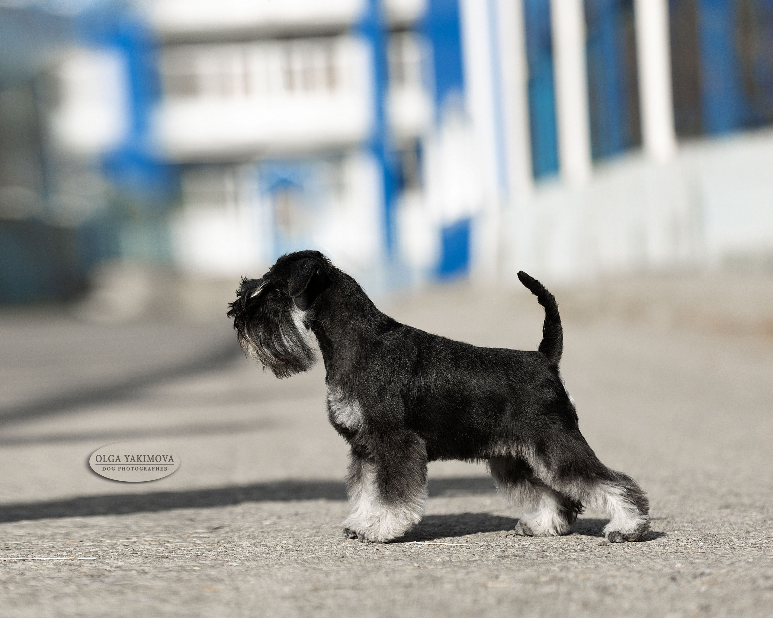 Экстерьер. Фотограф