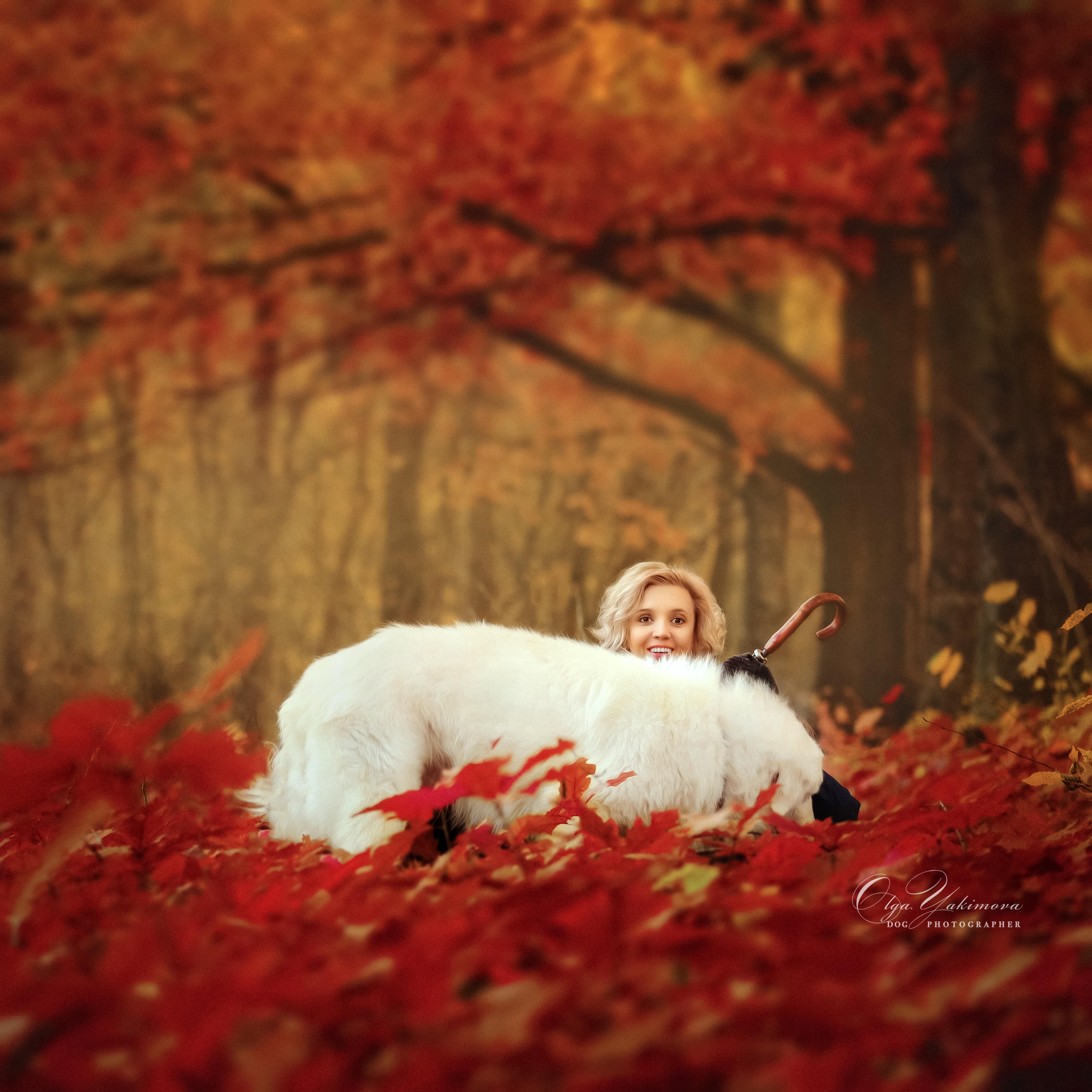 Елена...... Фотограф