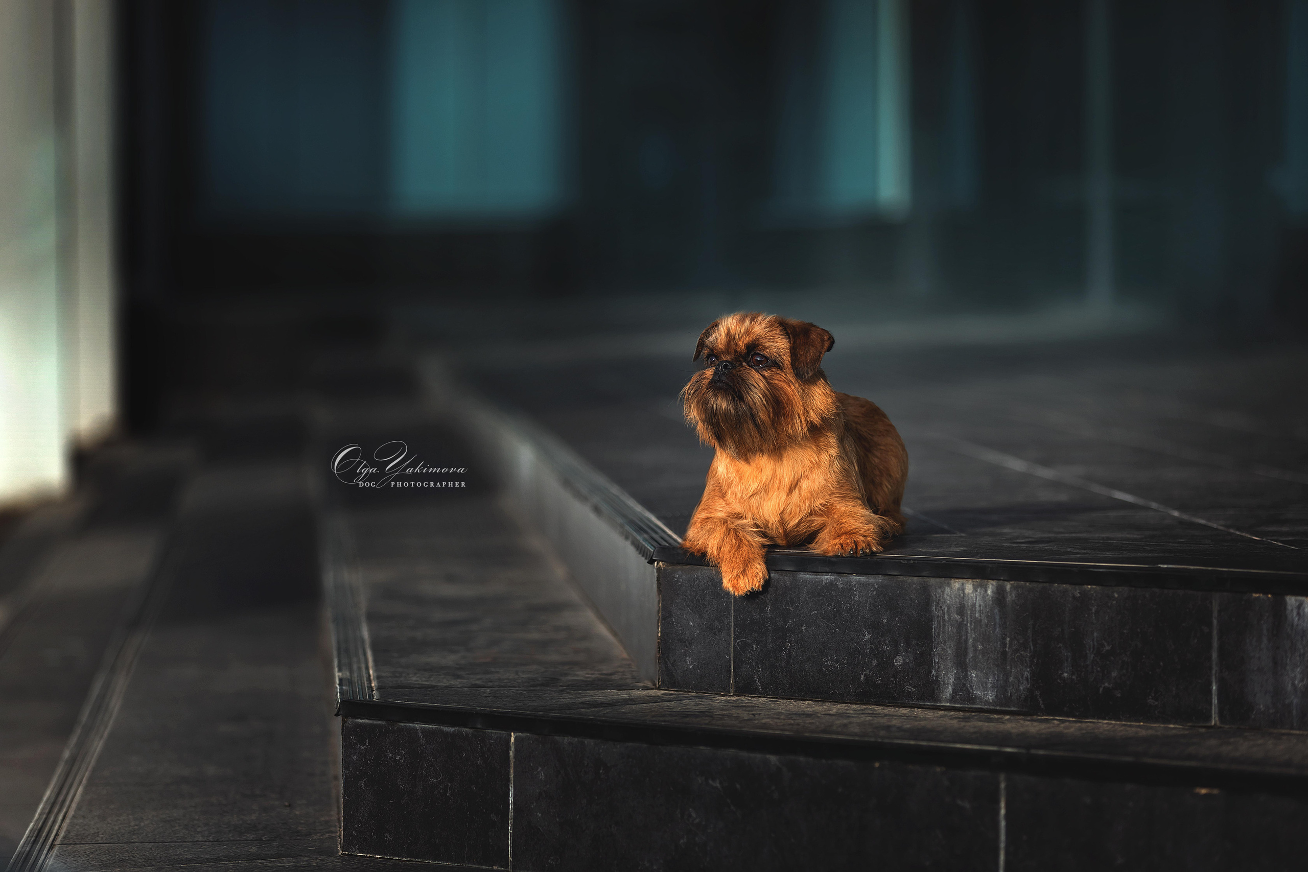 Экстерьер. Фотограф