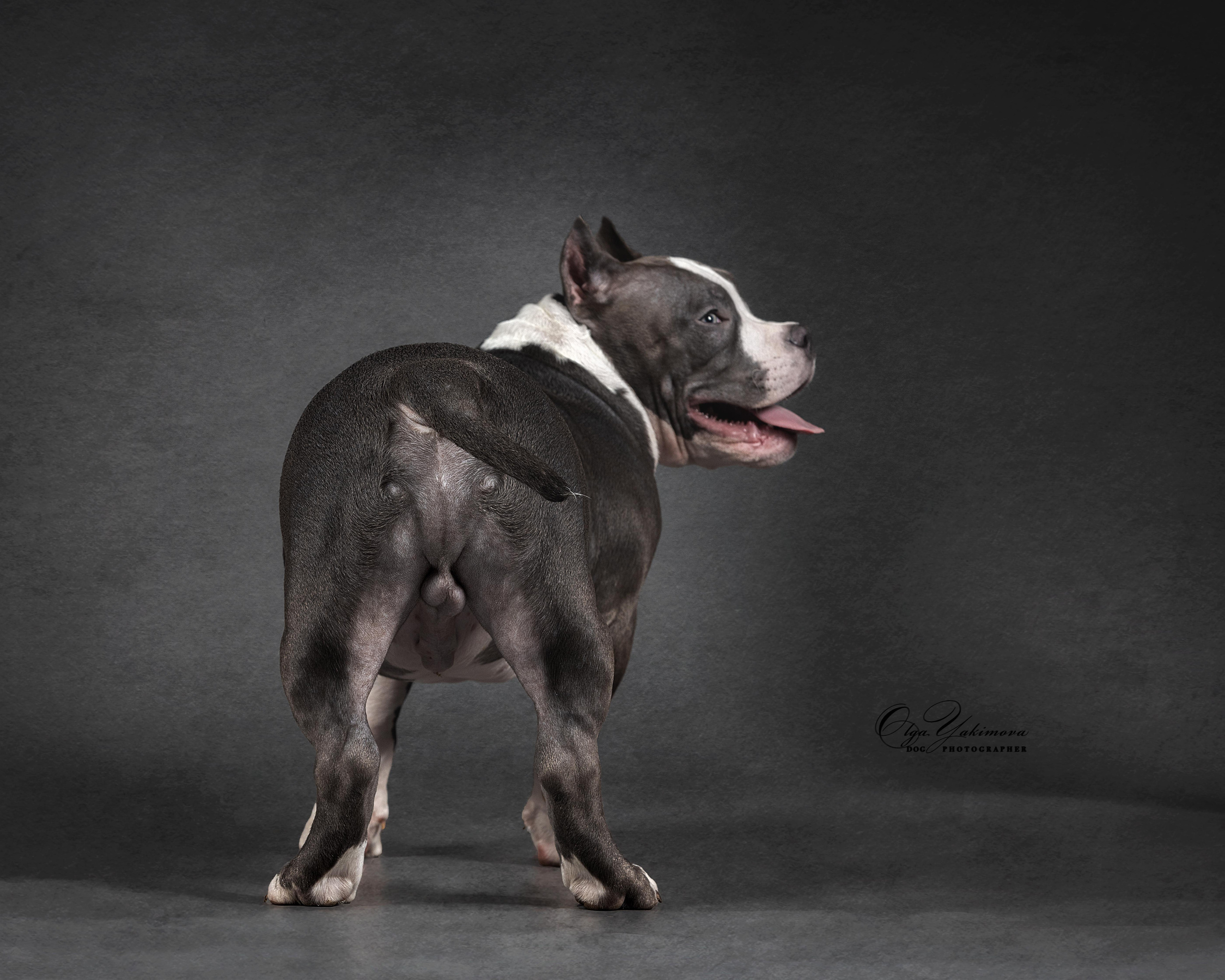 Экстерьер. Фотограф